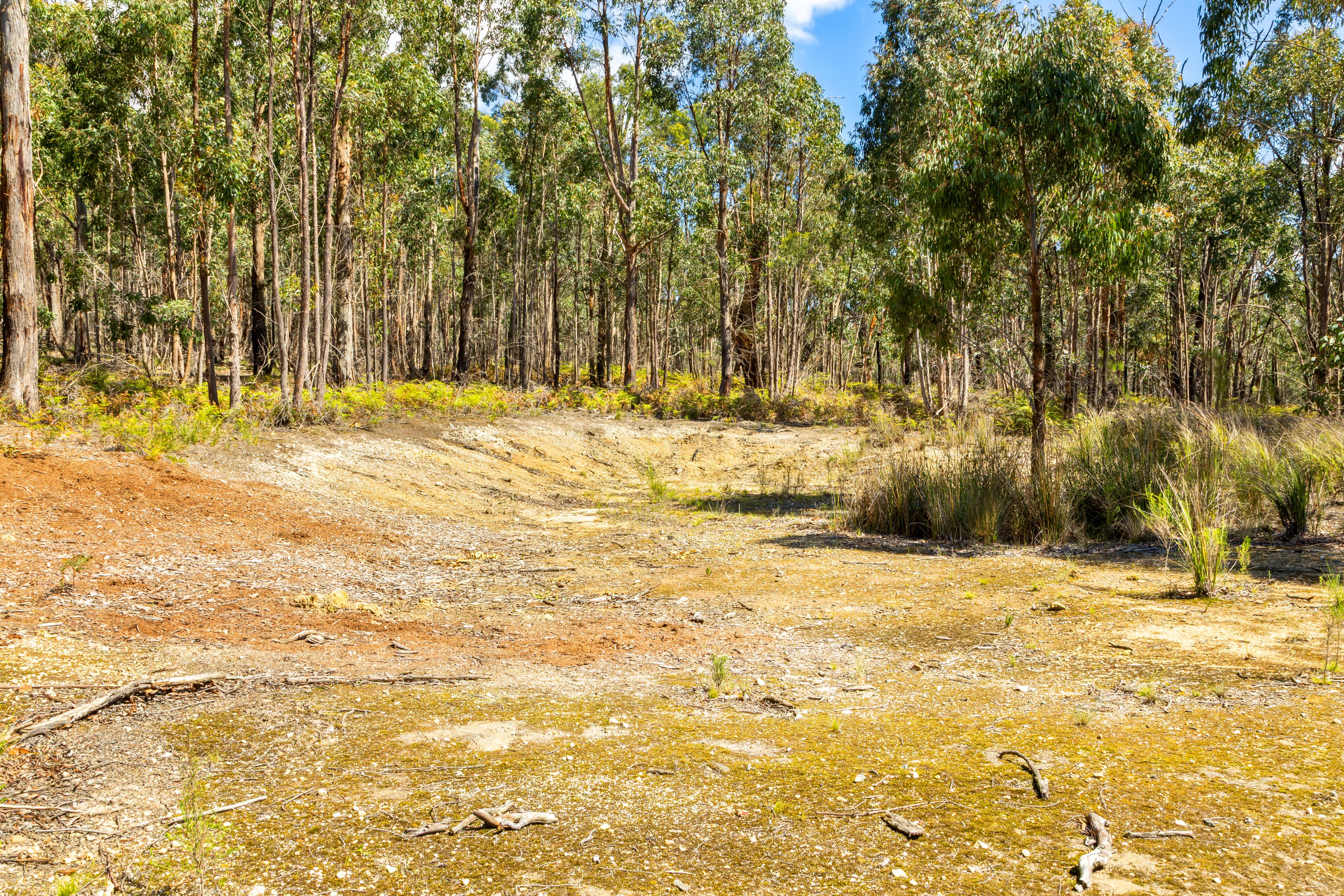 Lot 8 Pryors Road — photo 6 of 10