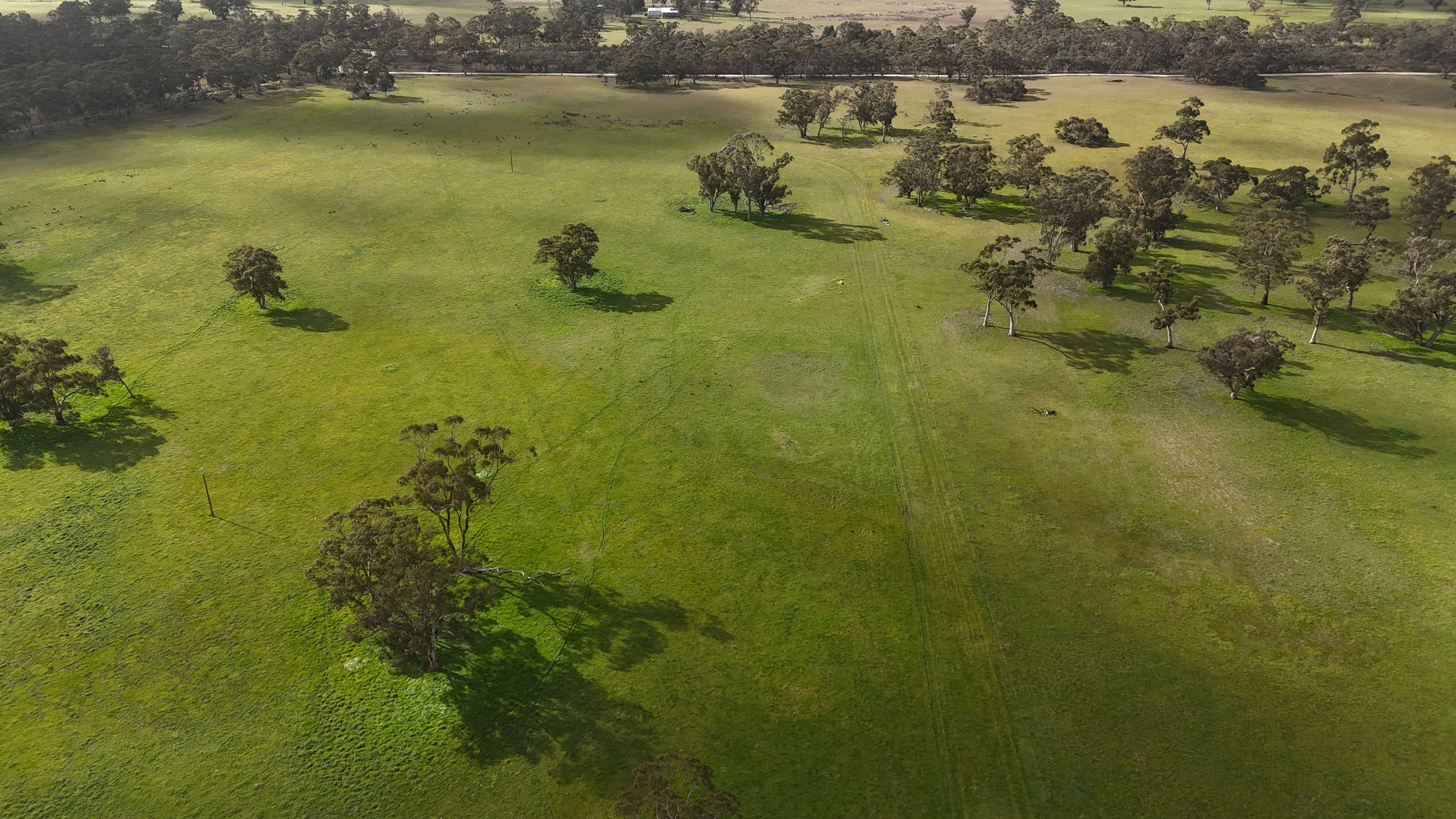 2123 Bangham Road, Bangham, SA 5268