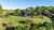 1 Summerhill Drive photo 0