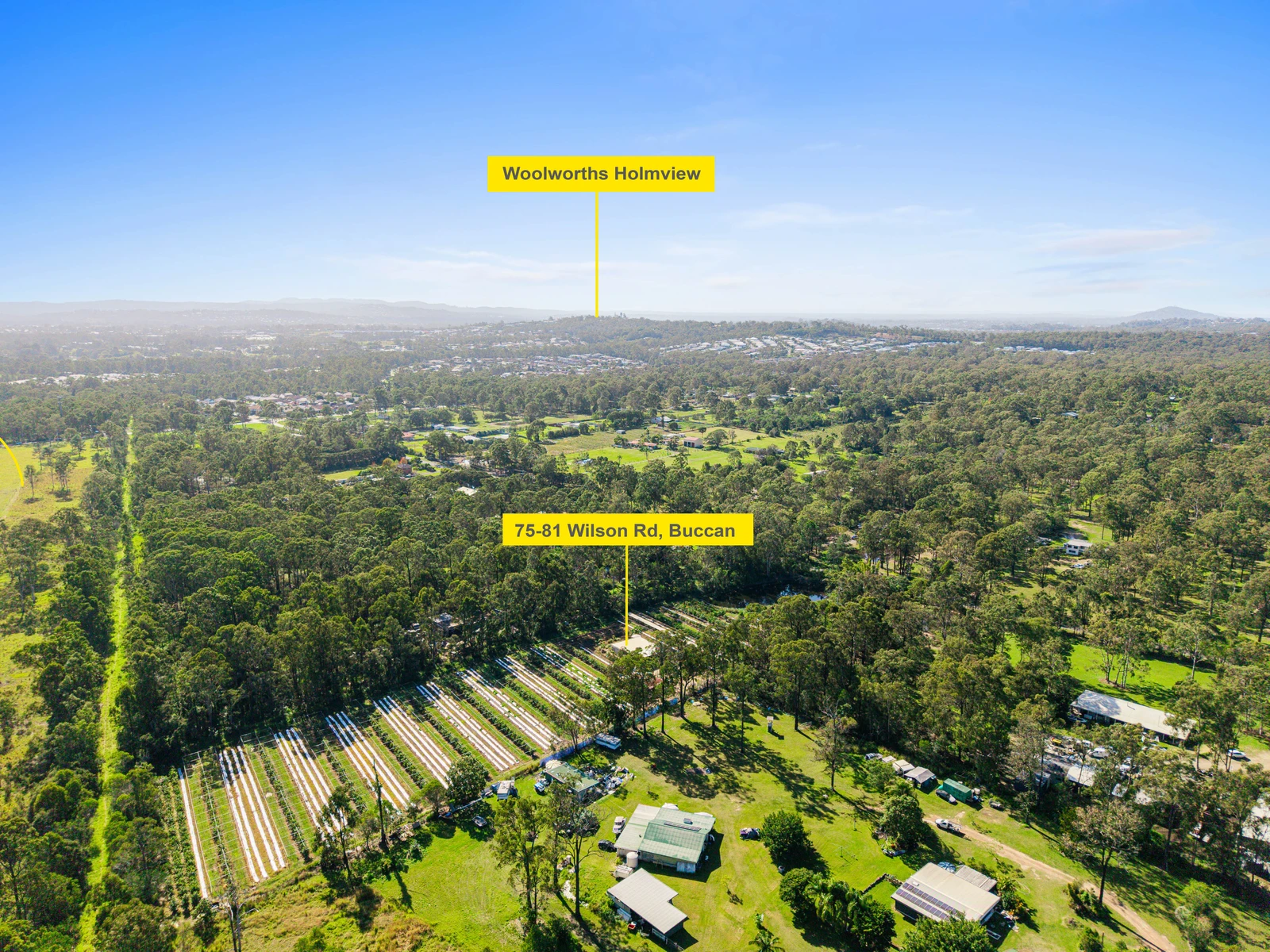 75-81 Wilson Road, Buccan, QLD 4207