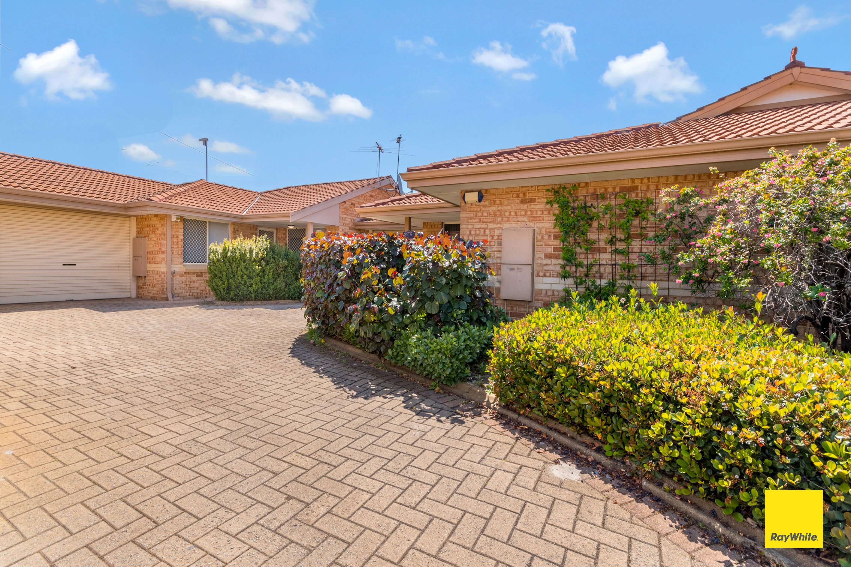 6/41 Bluegum Road, Morley, WA 6062