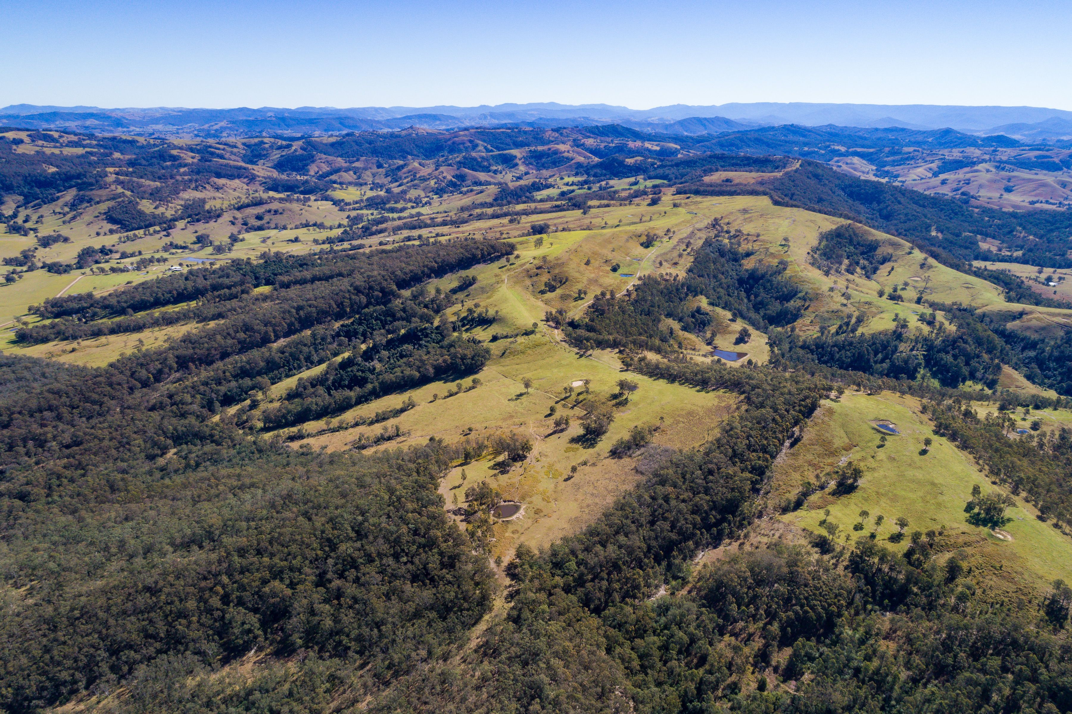 230 Wallaringa Road, Dungog, NSW 2420