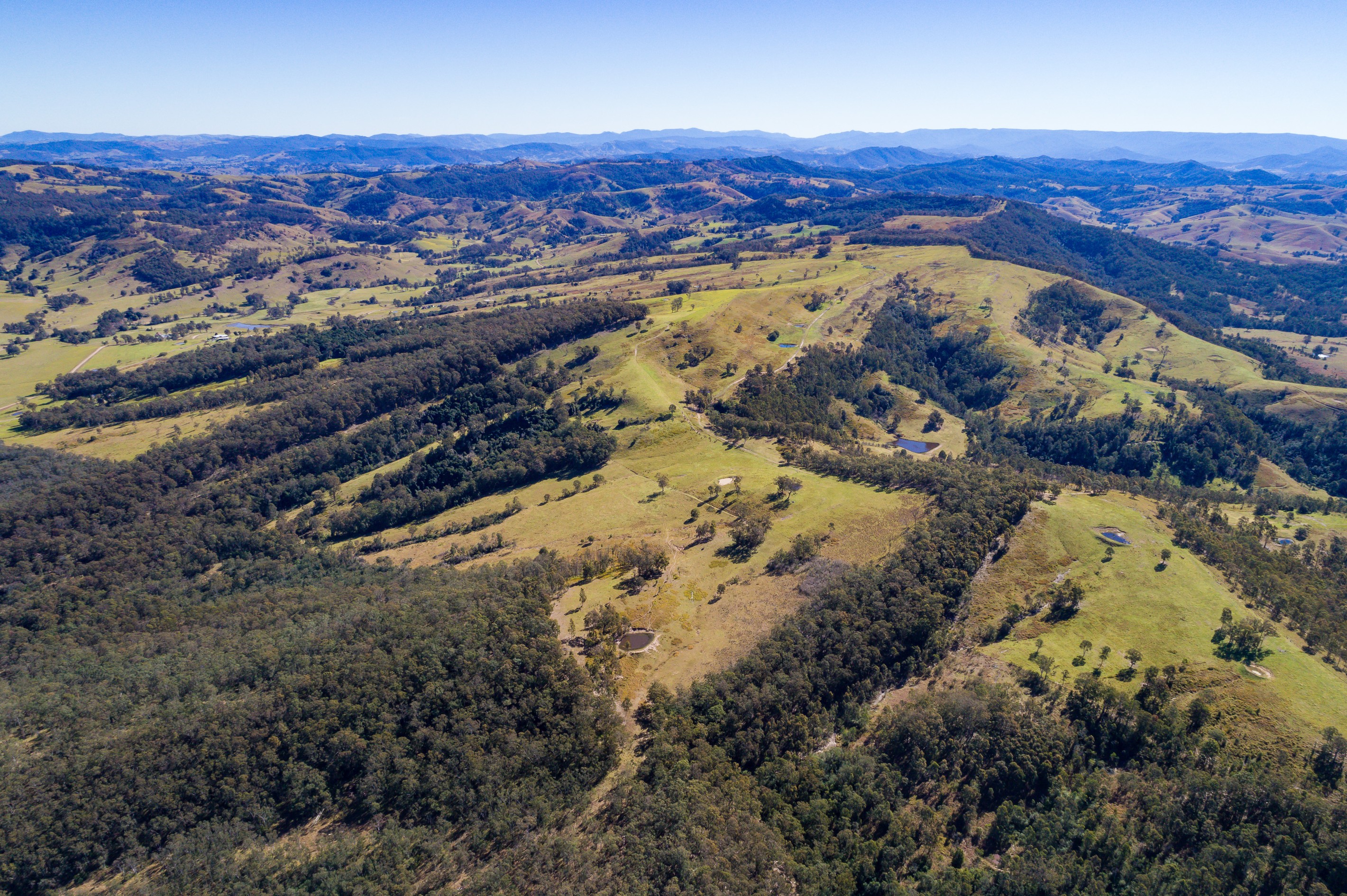 230 Wallaringa Road, Dungog, NSW 2420