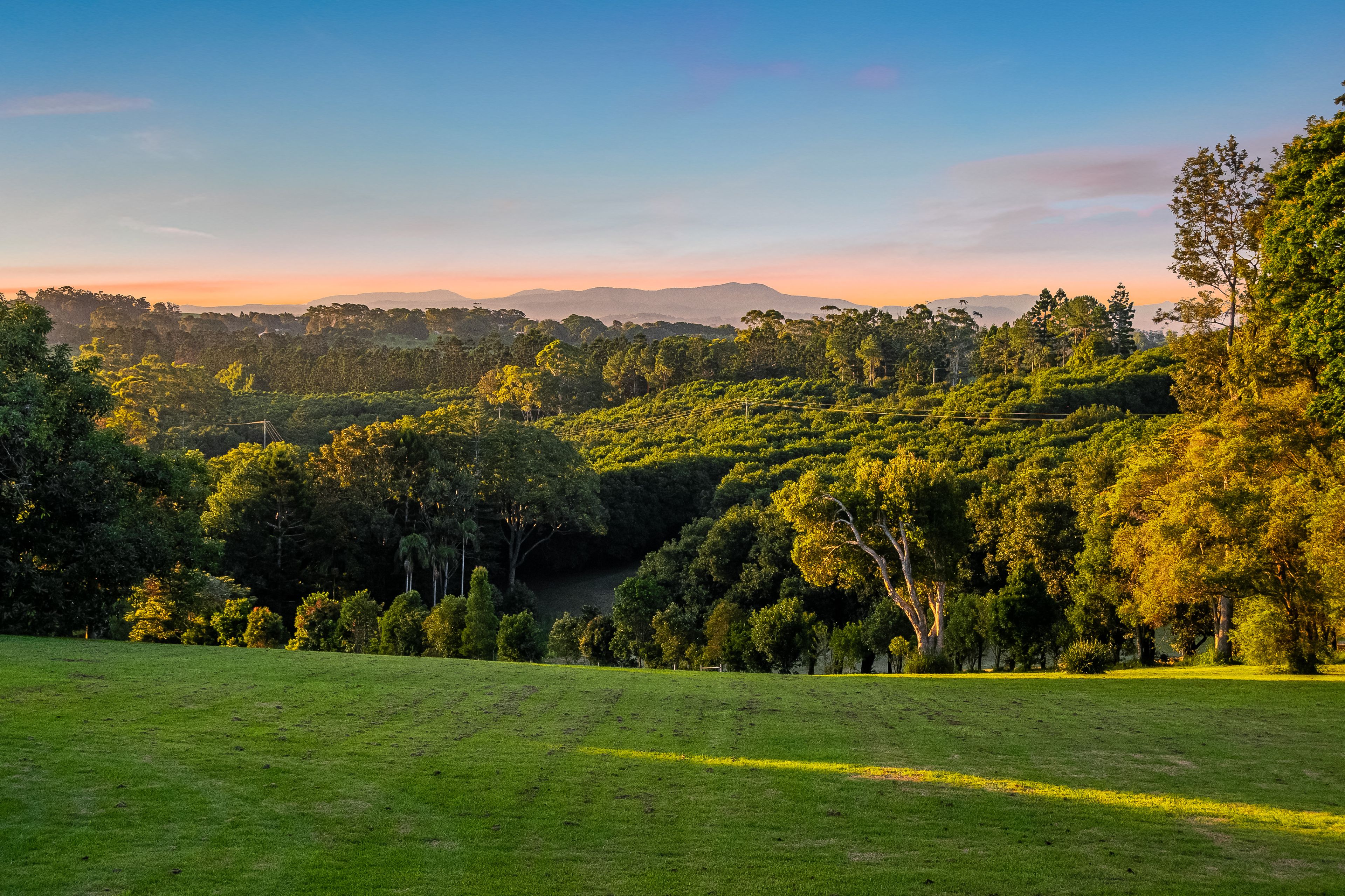 175 Old Byron Bay Road, Newrybar, NSW 2479 House for Sale Ray White