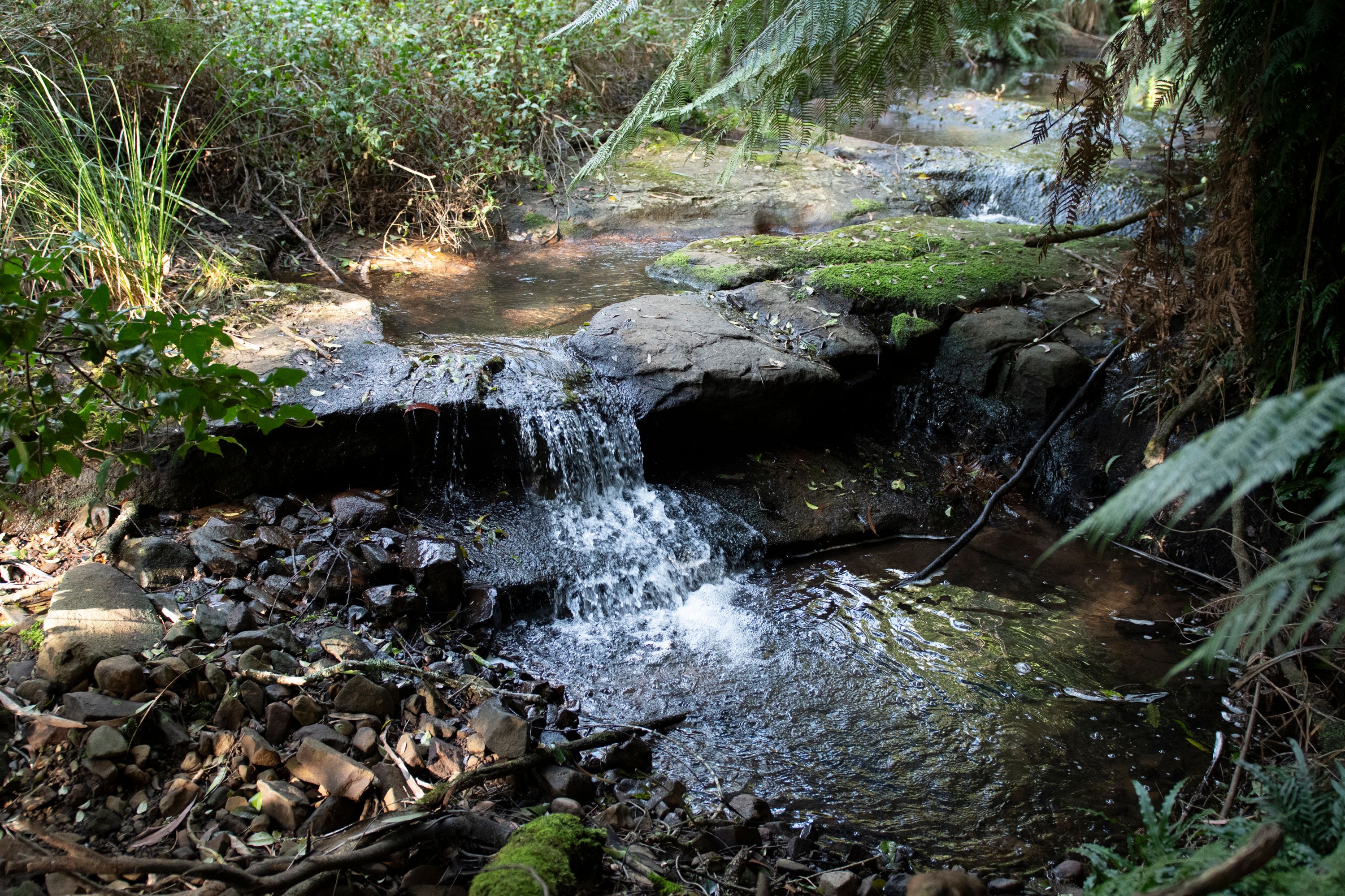 Lot 4 Braidwood Road — photo 8 of 17