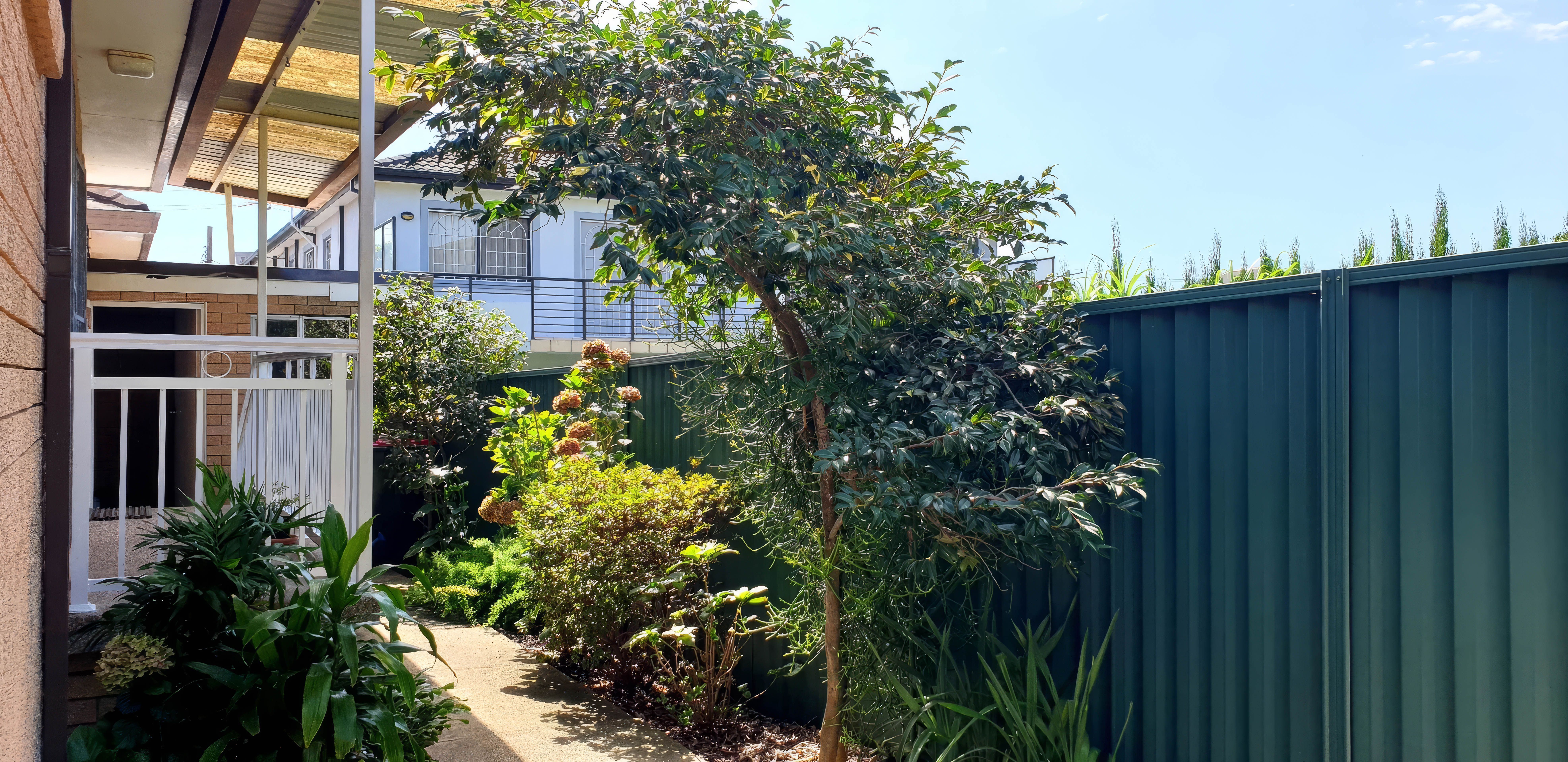3/13-15 Waratah Street — photo 8 of 10
