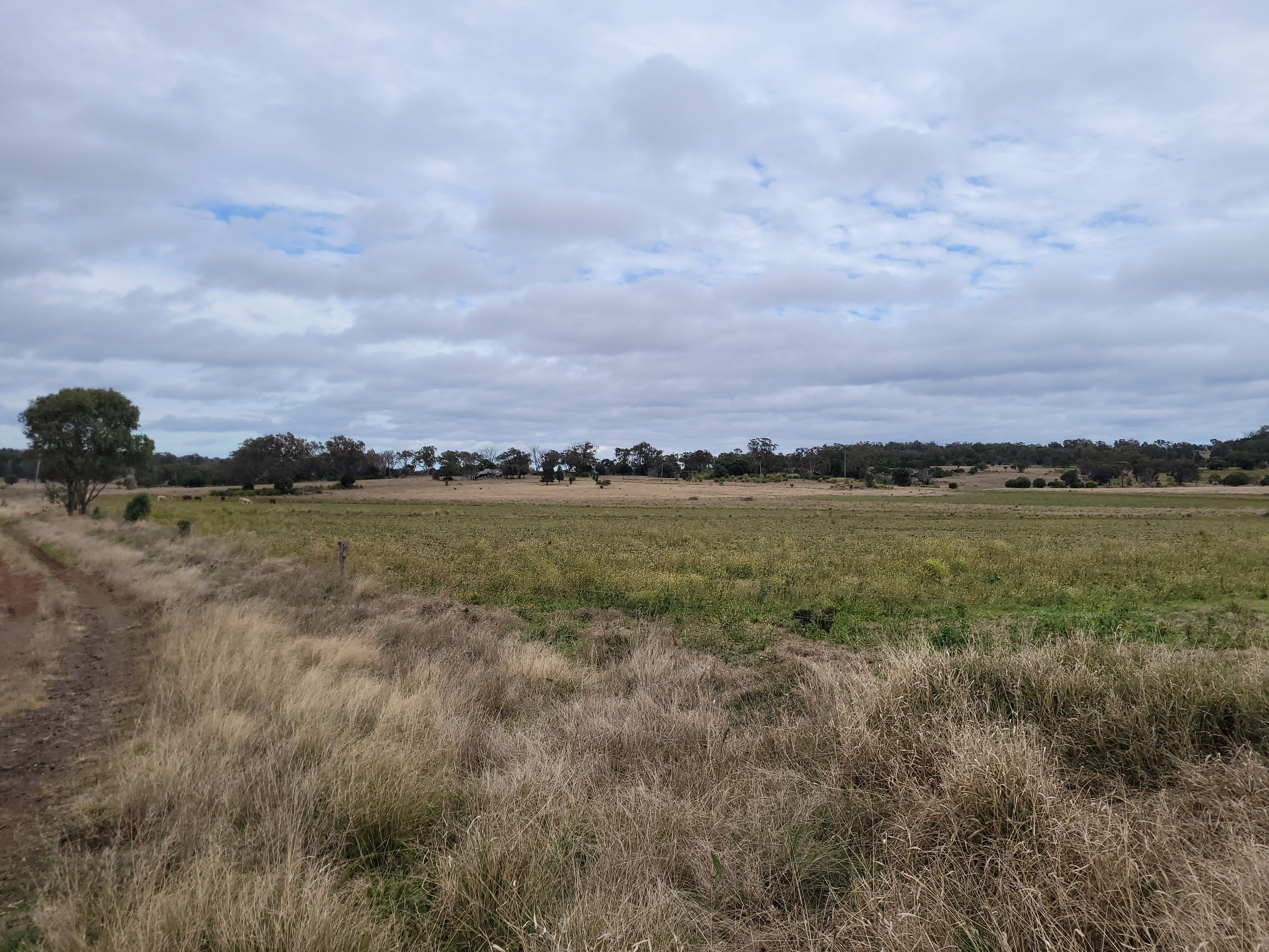 Ray White Rural Pittsworth