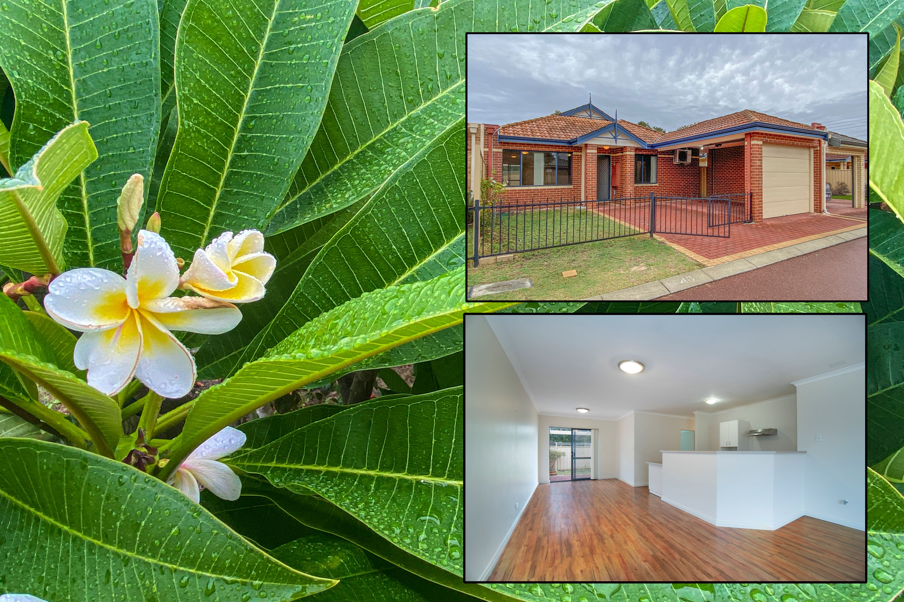 48/57 Frederick Street, Belmont, WA 6104
