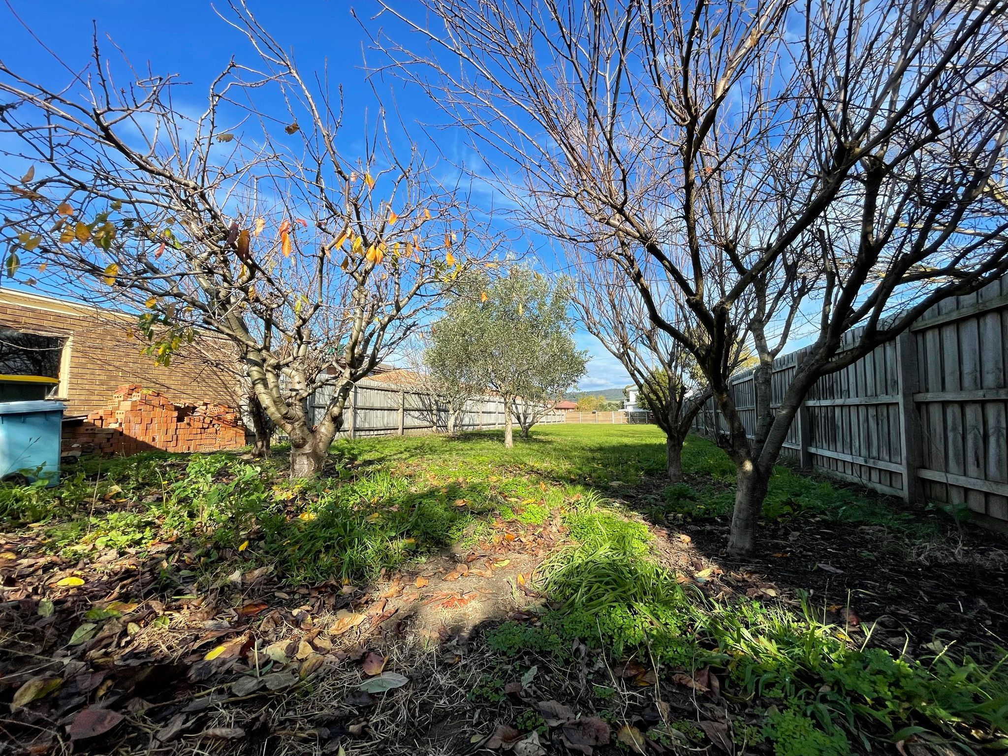 27 Balmoral Avenue — photo 13 of 23