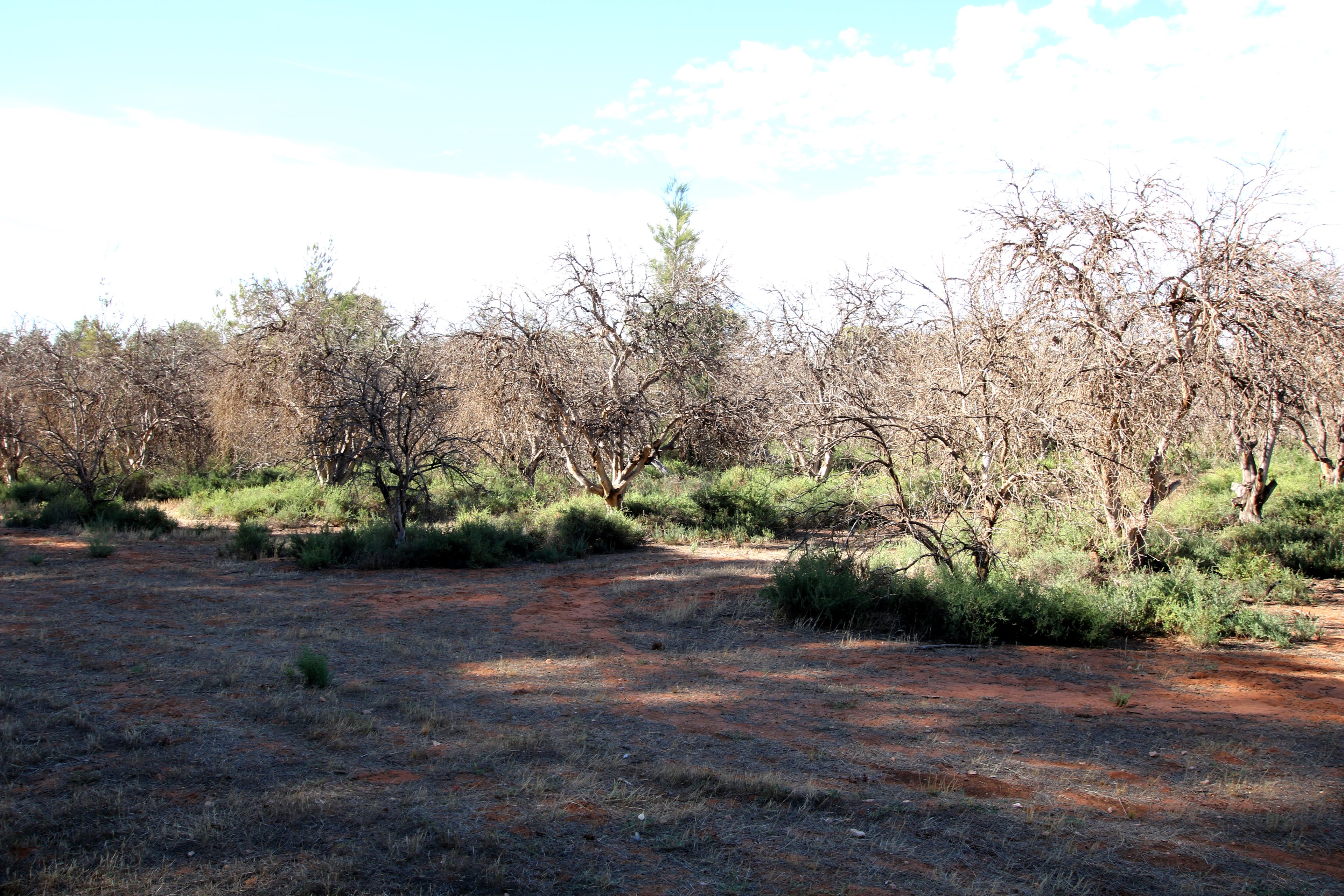 93 Hartwig Road, Sunlands, SA 5322