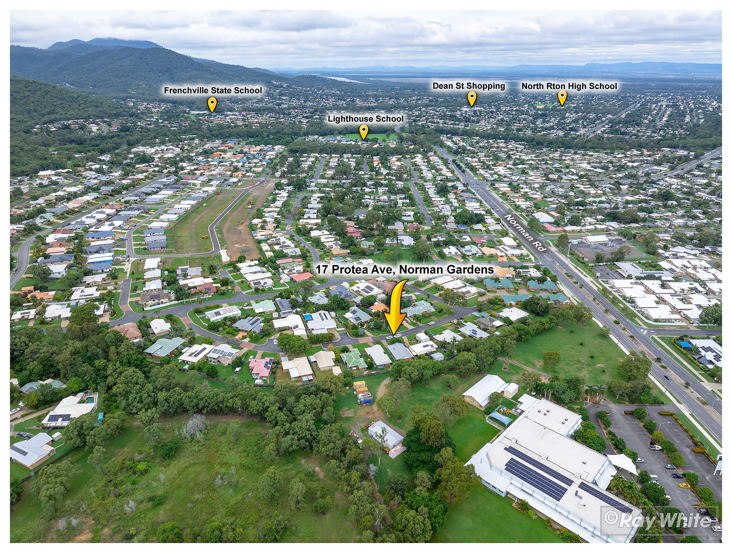 17 Protea Avenue, Norman Gardens, QLD 4701