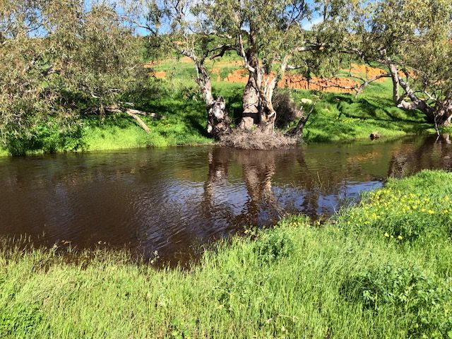 59 Polwarth Parade, Deepdale, WA 6532