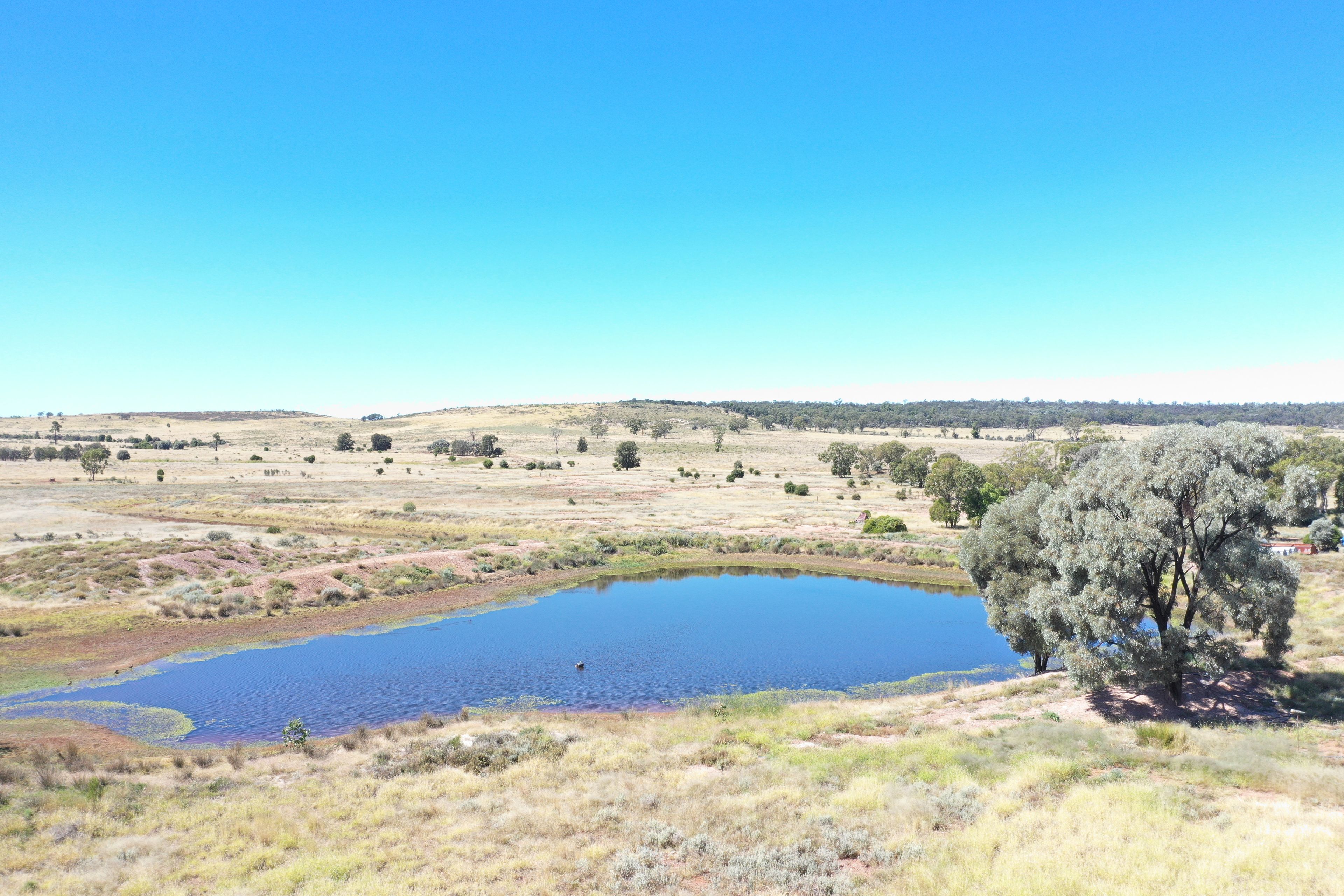 1003 Nebine Road, Morven, QLD 4468