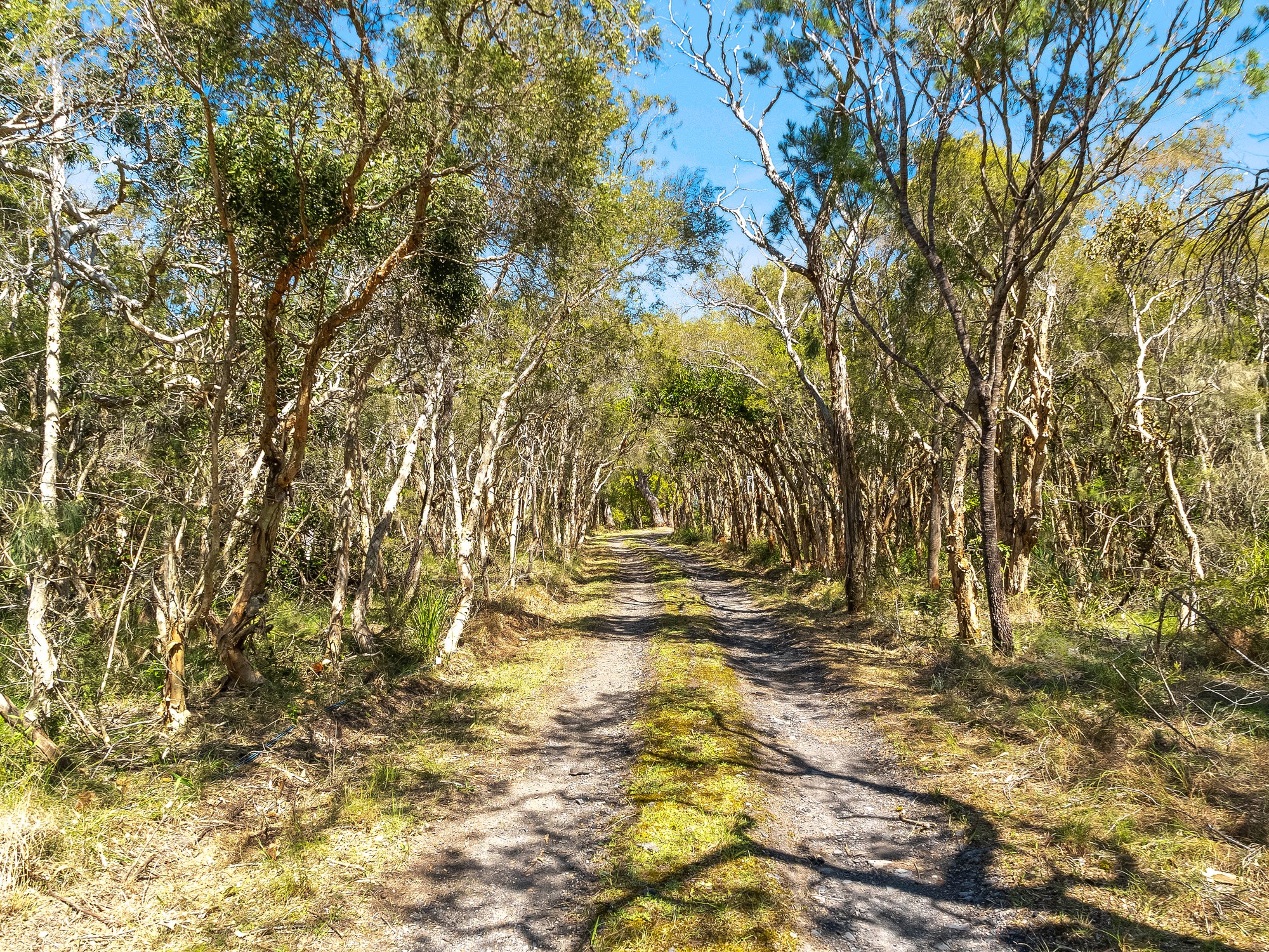 265 Cams Boulevard, Summerland Point, NSW 2259