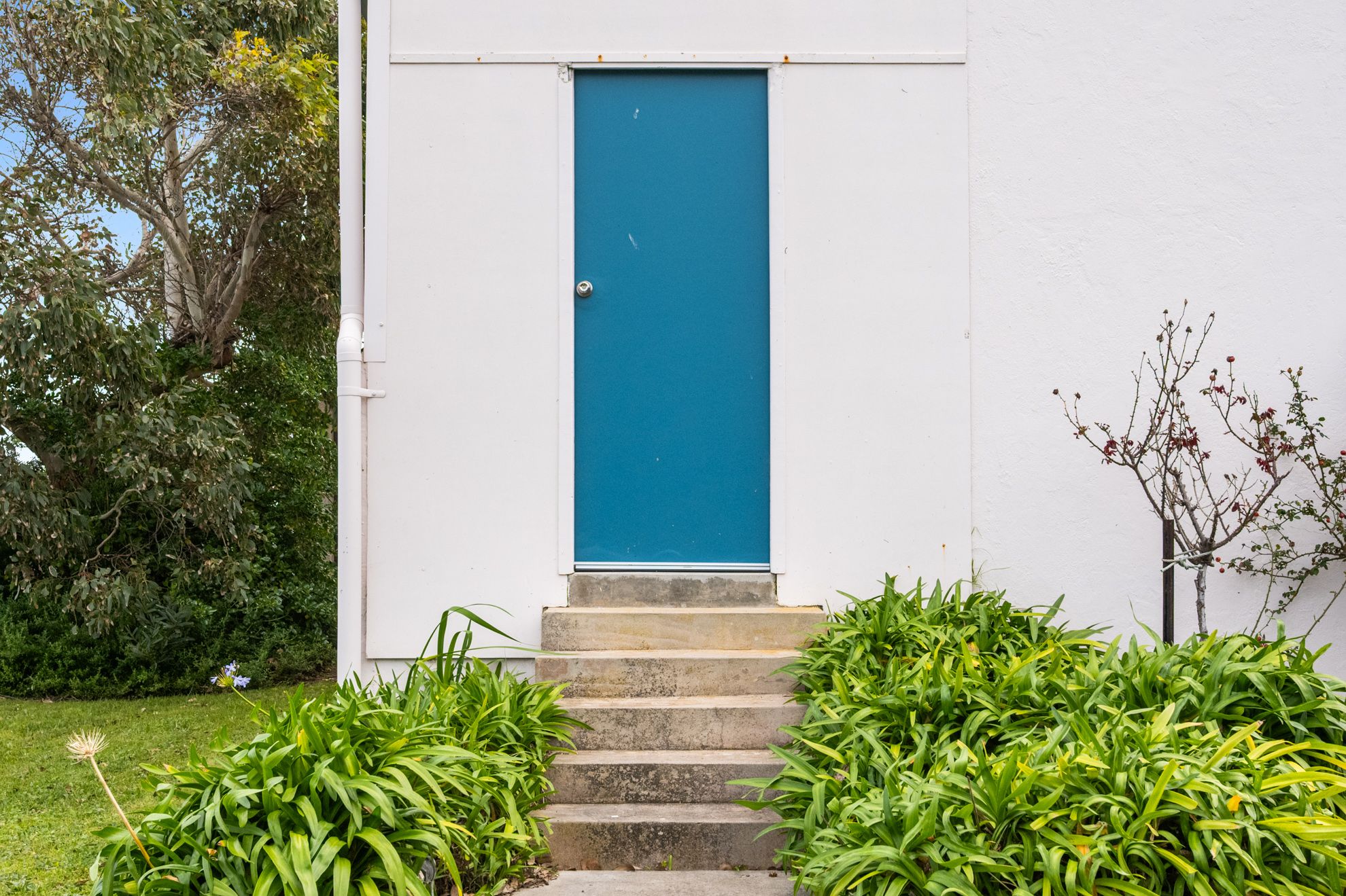 4 Carthew Street — photo 3 of 28