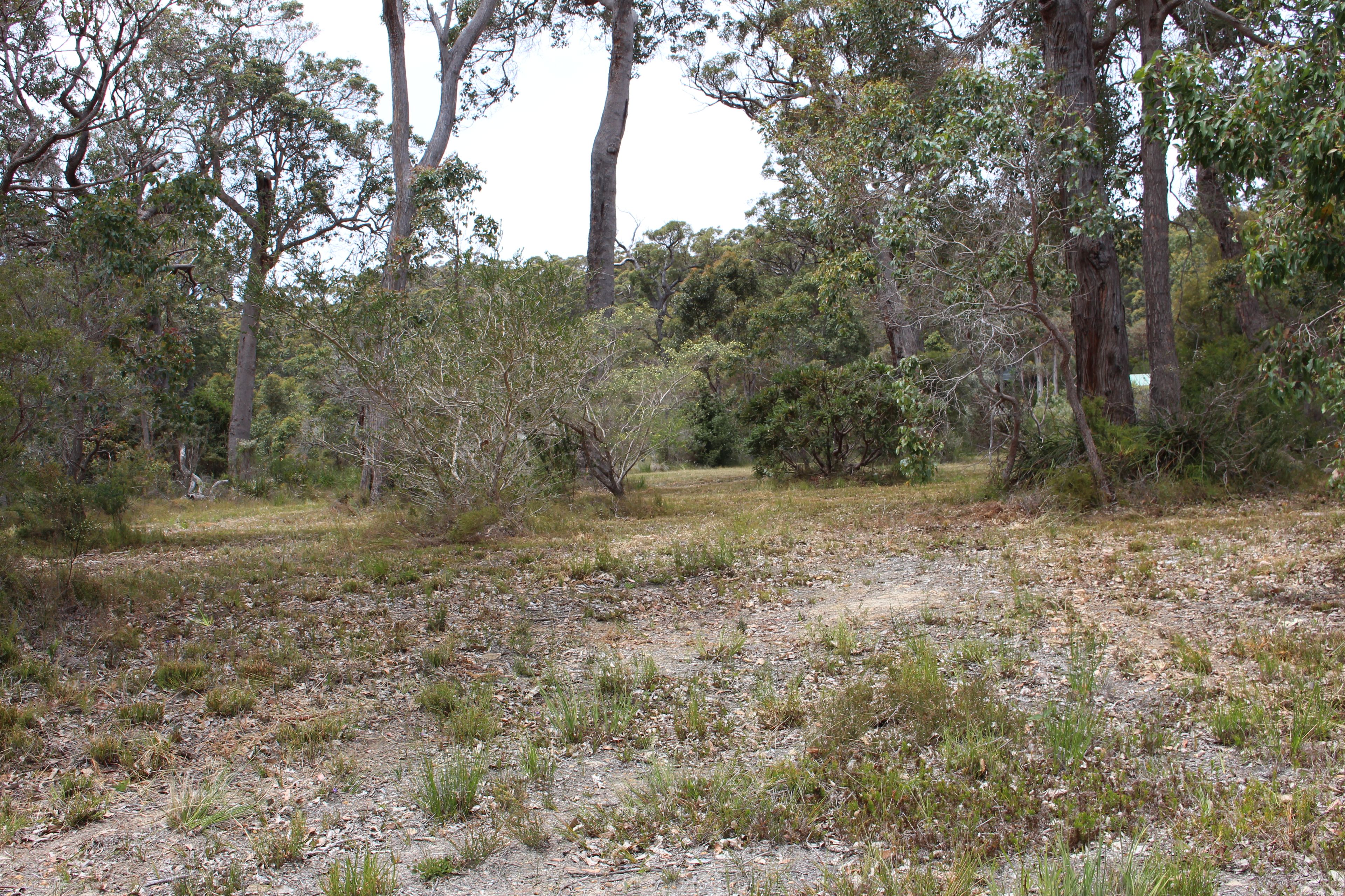 9 Coughlan Grove, Denmark, WA 6333