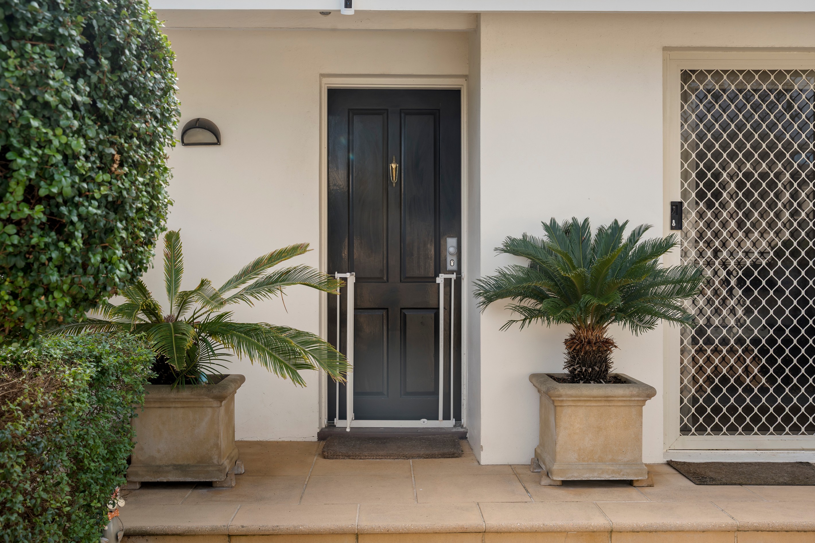 27A Hammond Street, Brighton, VIC 3186