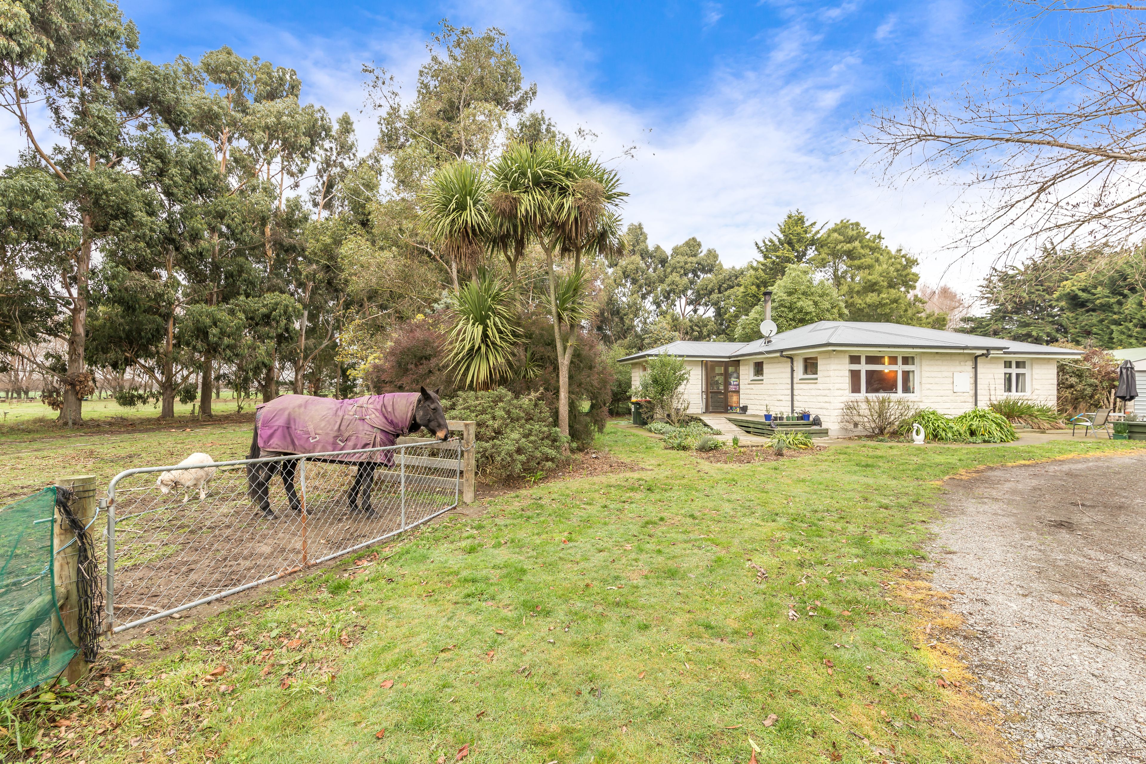 269 Pannetts Road, Springston, Selwyn District