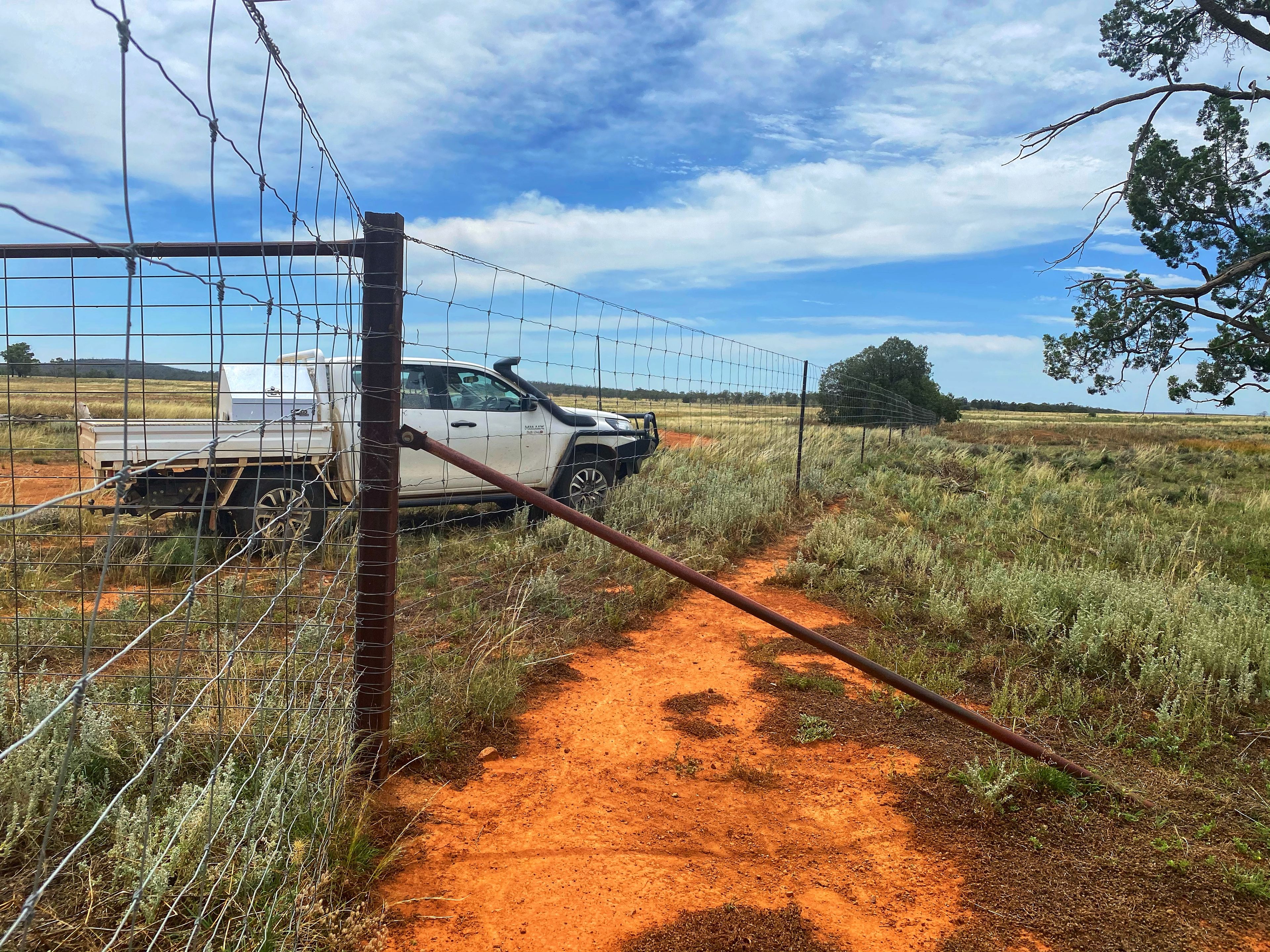 Fermoy 9286 The Bogan Way, TULLAMORE, NSW 2874