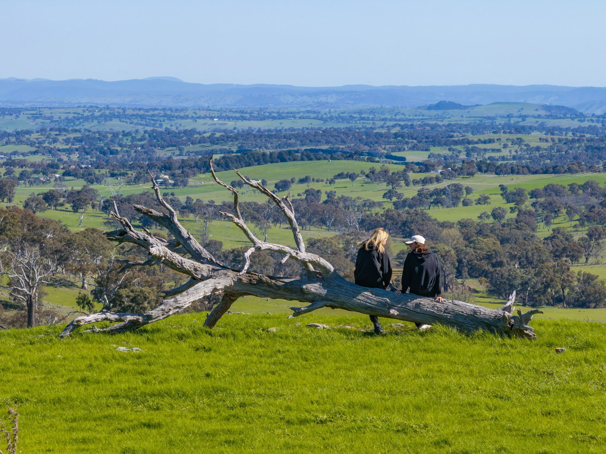"Cottage Farm" 1001 Cooks Hill Road, Yass, NSW 2582