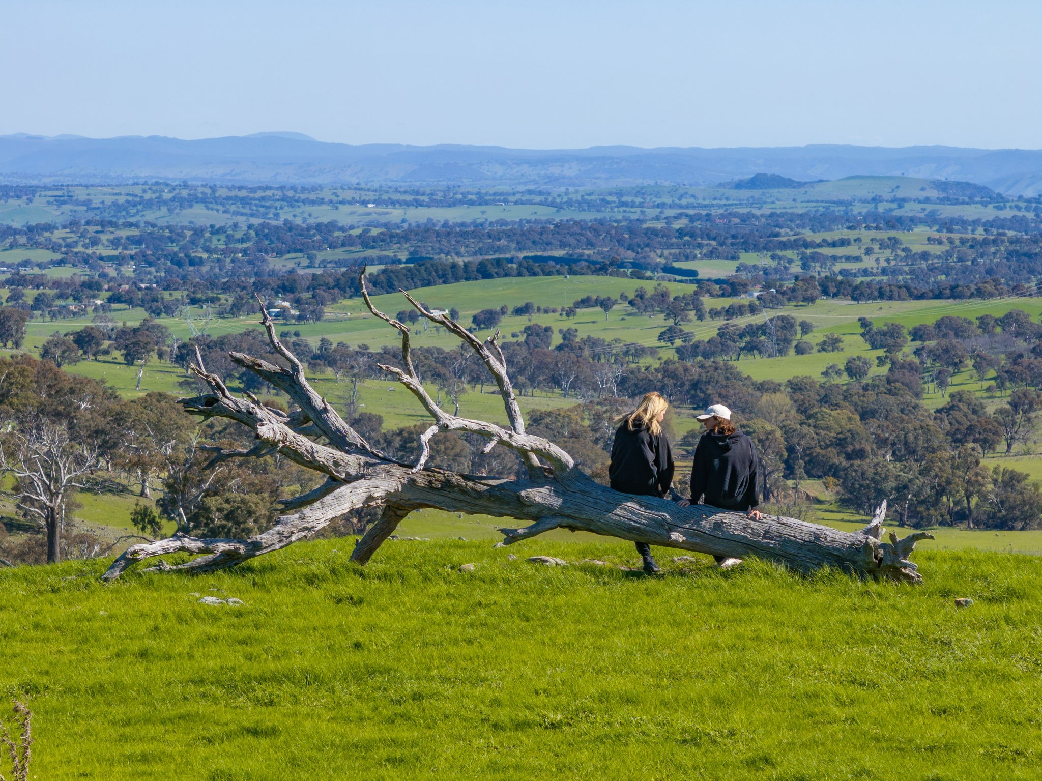 "Cottage Farm" 1001 Cooks Hill Road, Yass, NSW 2582