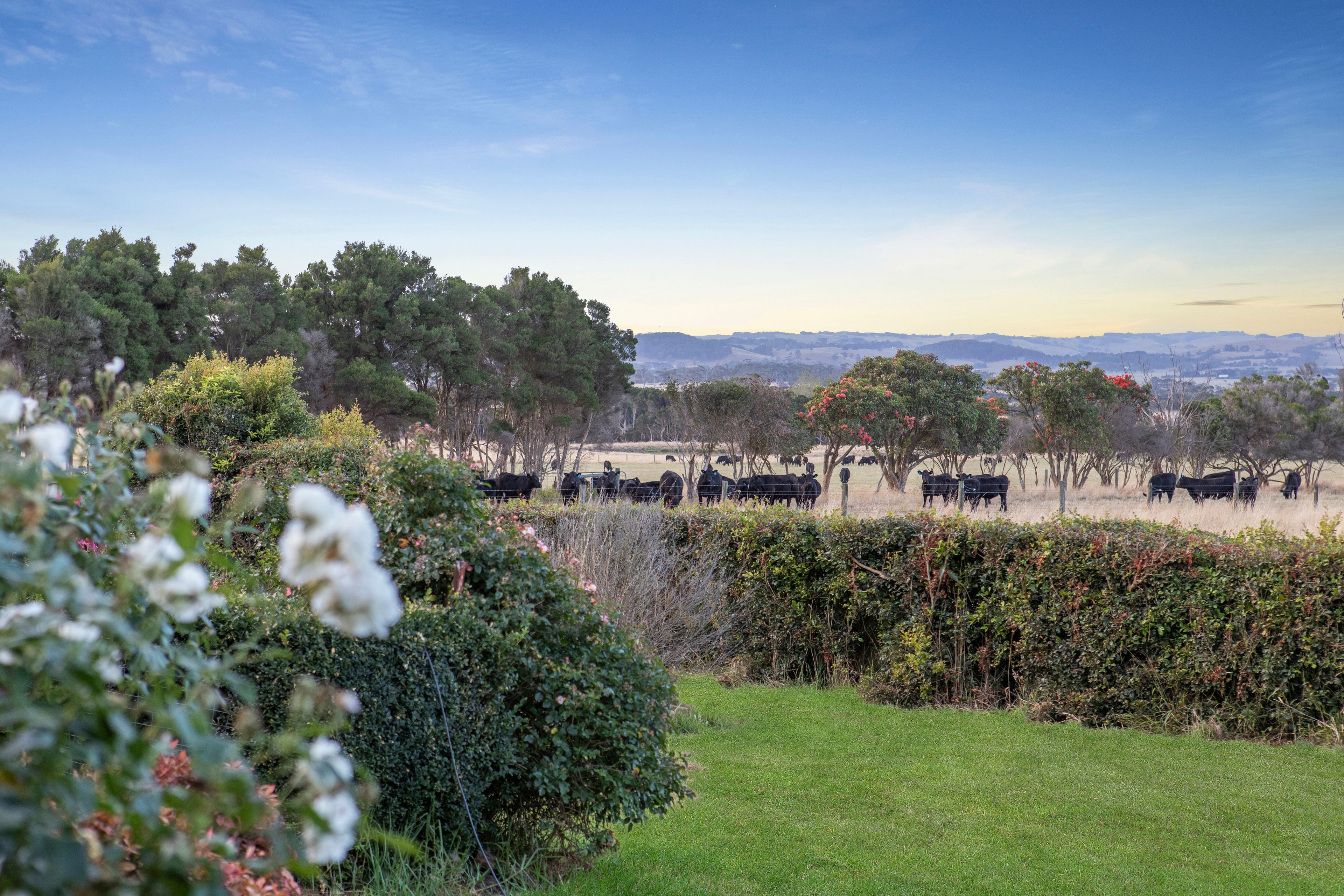 840 Inverloch-outtrim Road — photo 19 of 20