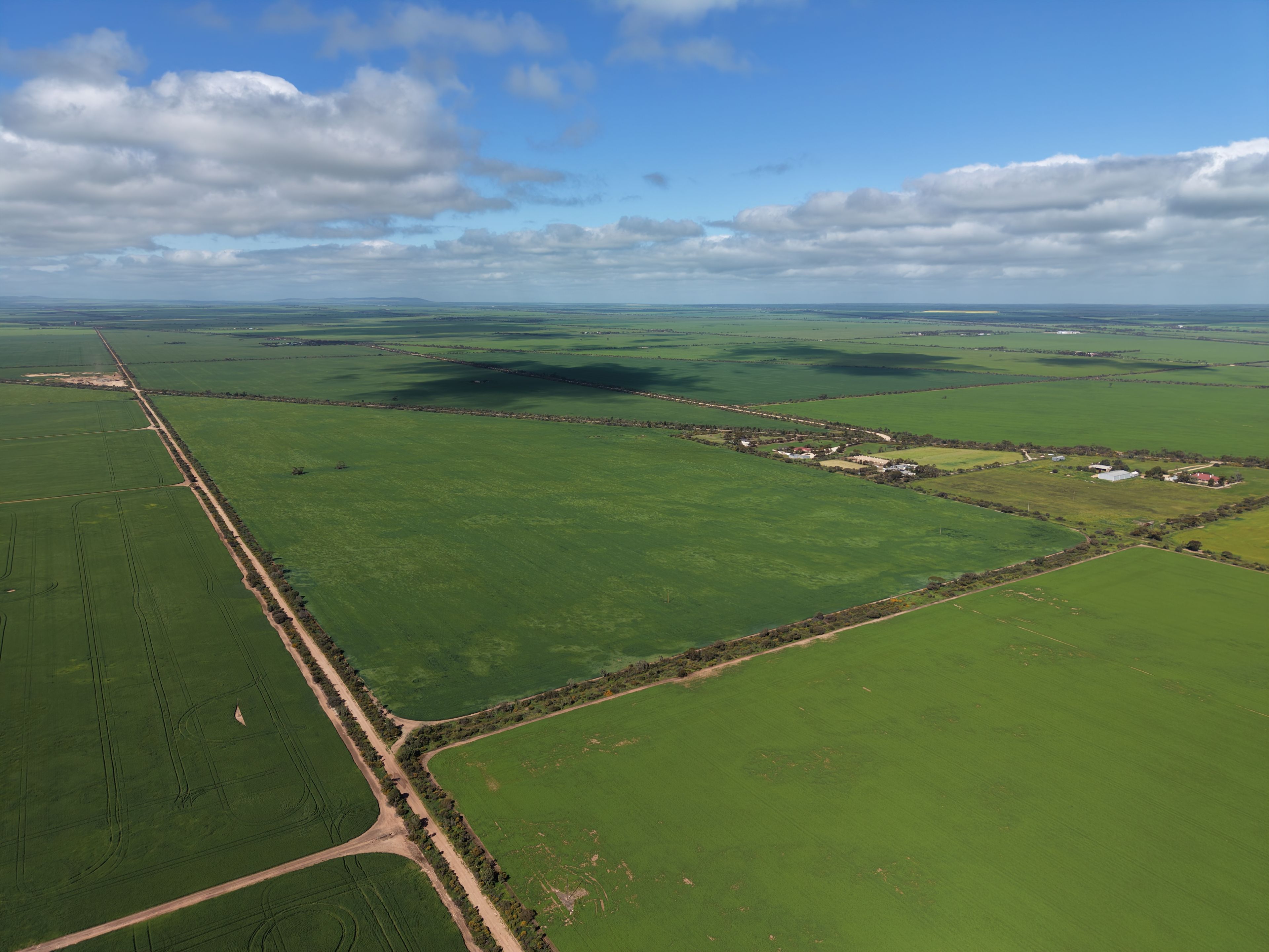 Rural Opportunity Near Kadina — photo 3 of 7