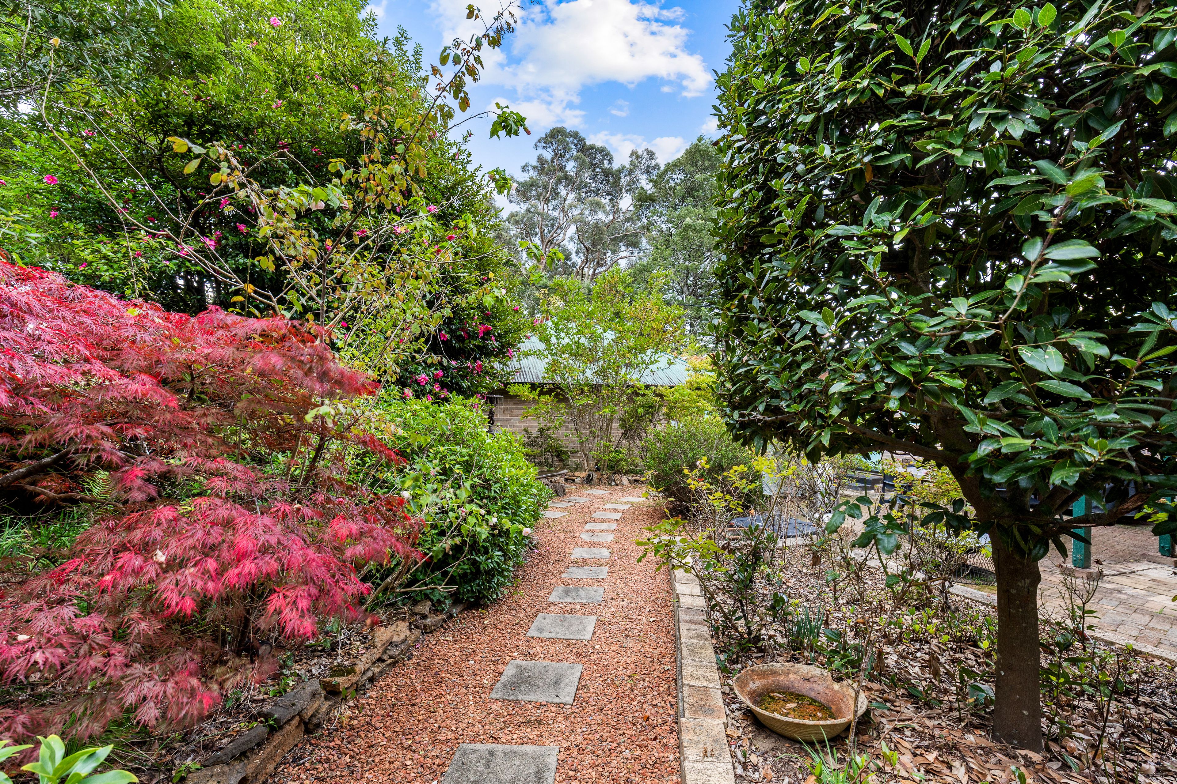 63 Leichhardt Street — photo 9 of 27