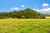 648 West Coast Road photo 21