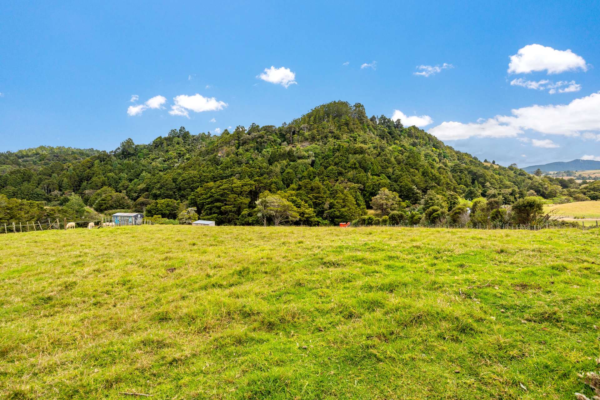 648 West Coast Road photo 21