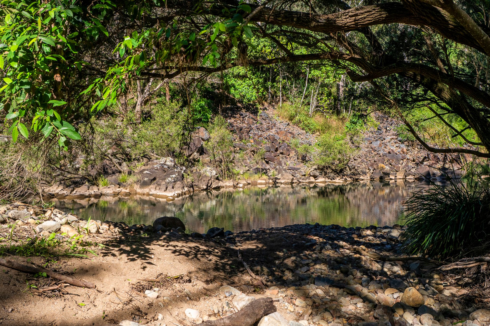 1142 Beaudesert-Nerang Road, Clagiraba, QLD 4211