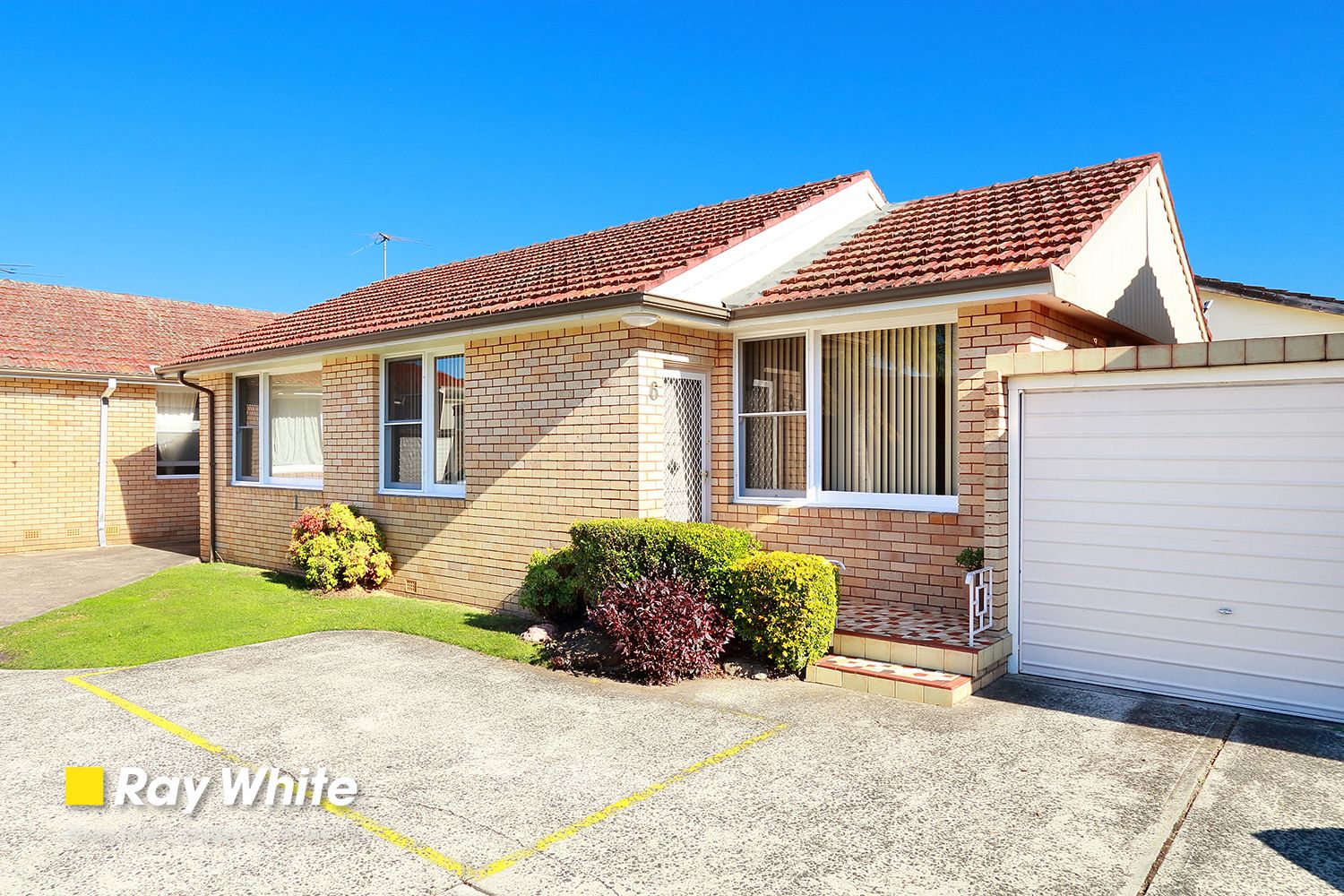 29-31 Mimosa Street, Bexley NSW 2207
