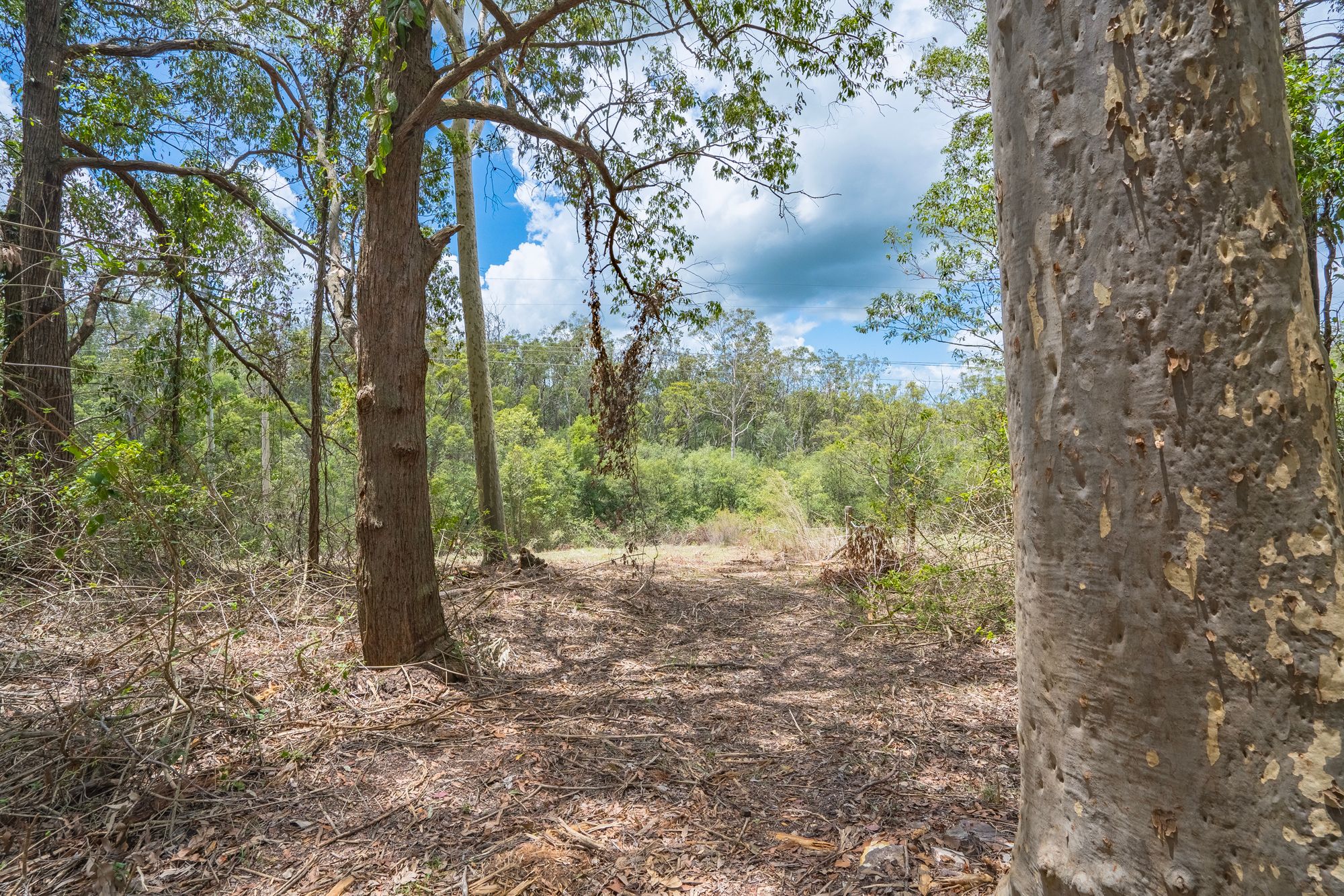 2A Mooghin Road, Seaham, NSW 2324 Sold Land Ray White Rural