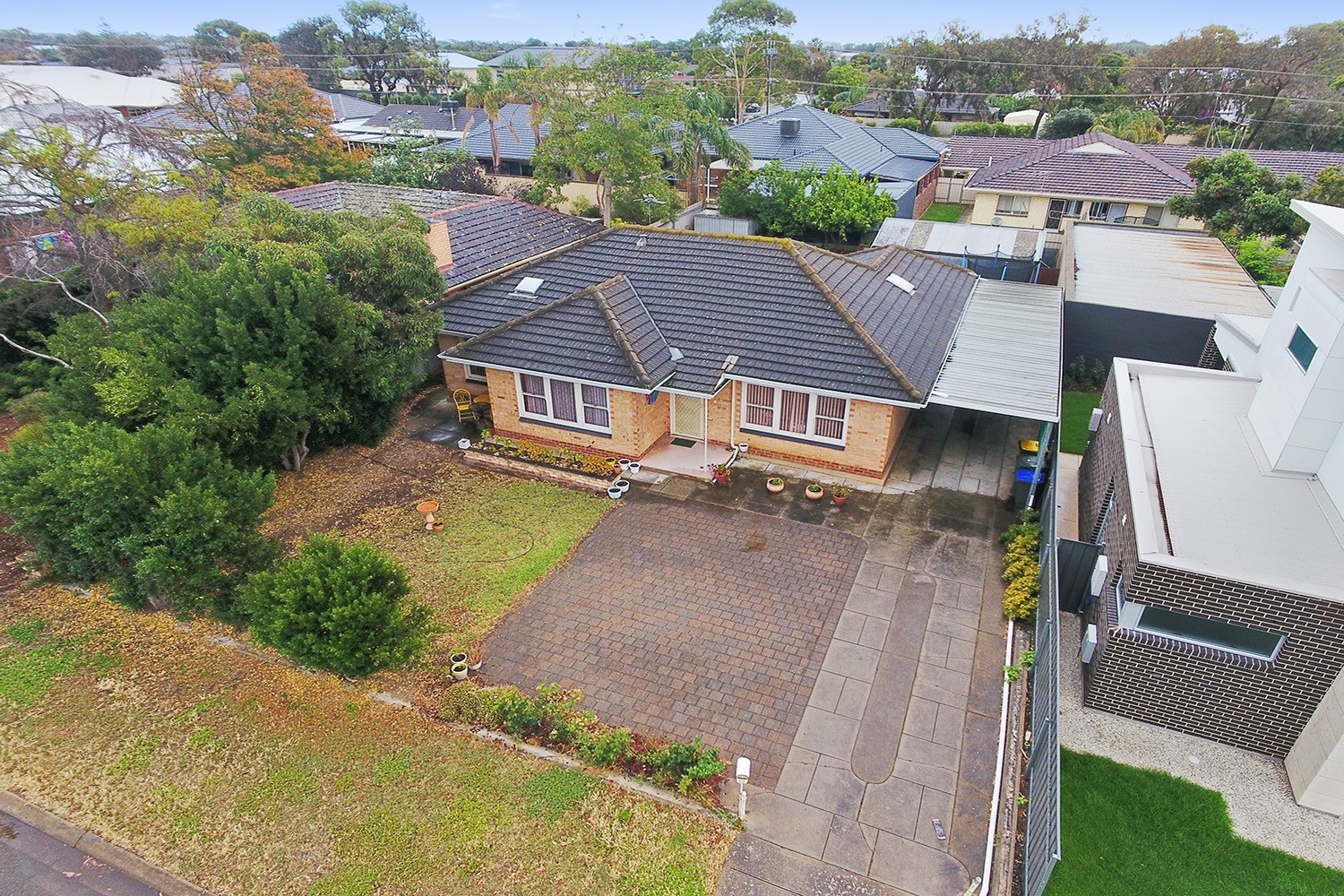 23 Hollard Avenue, Grange, SA 5022
