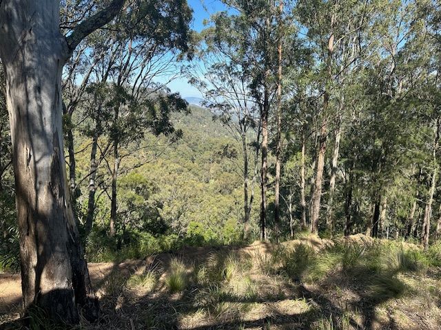 3180 Carrowbrook Road, Carrowbrook — photo 20 of 23