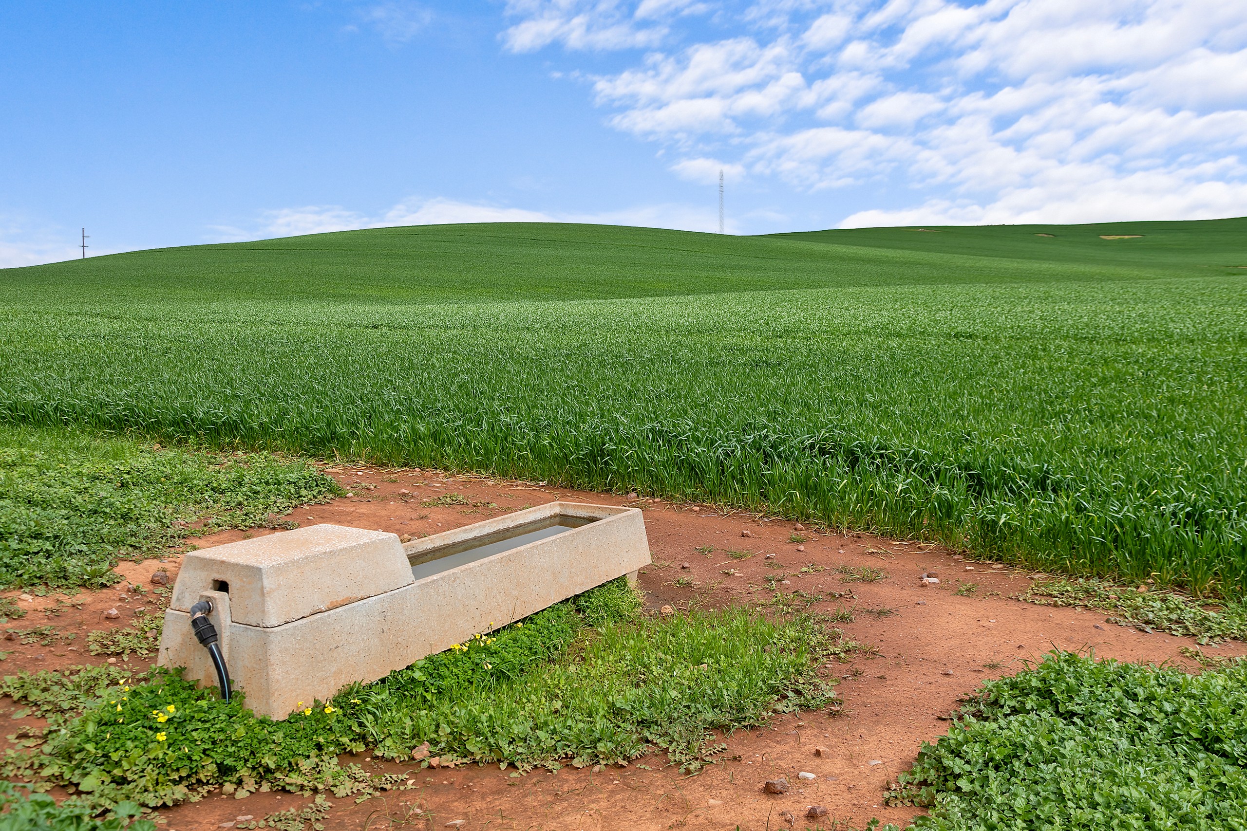 'Stone Hut' Halls Road, Wirrabara, SA 5481