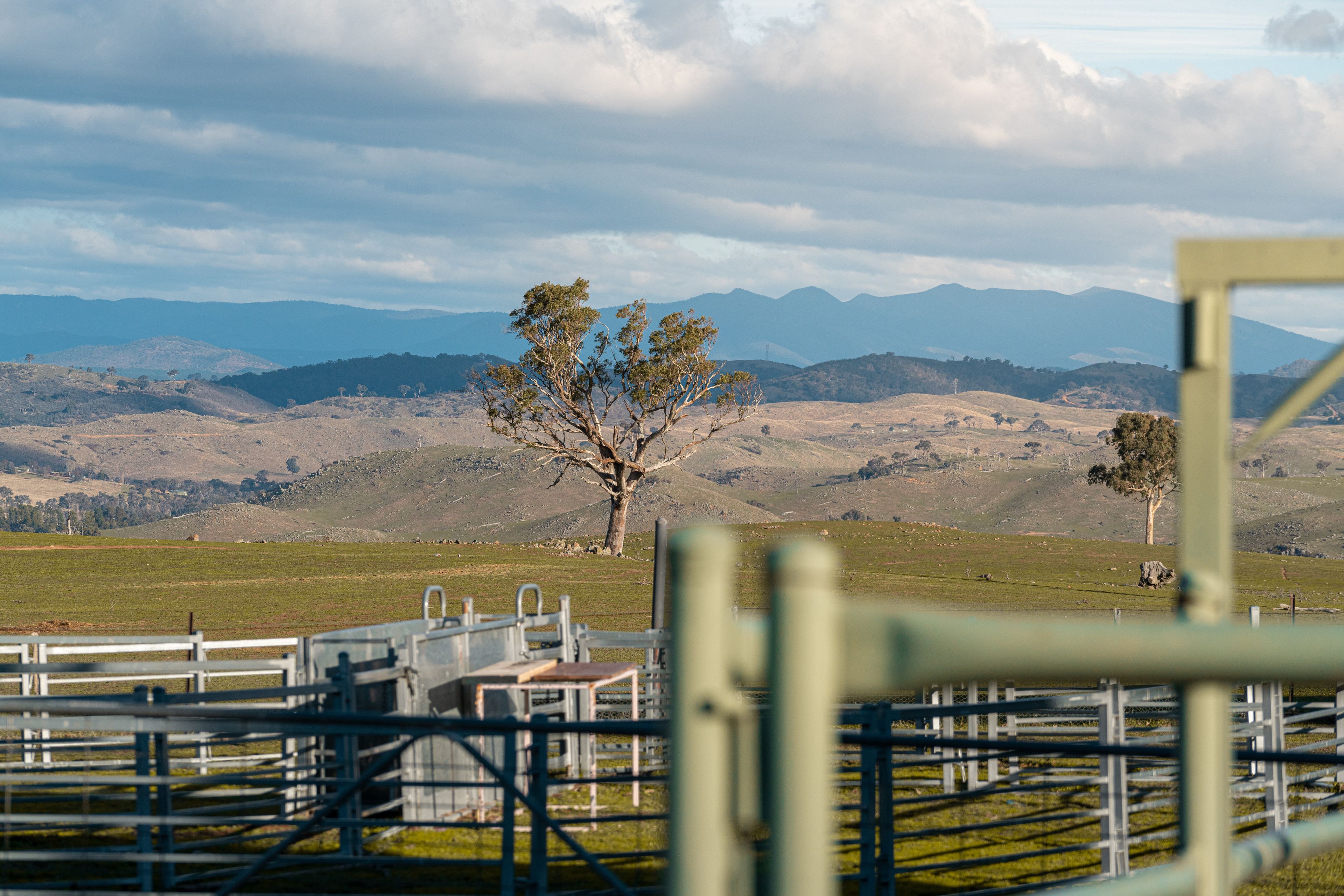 2963 Dog Trap Road, Jeir, NSW 2582