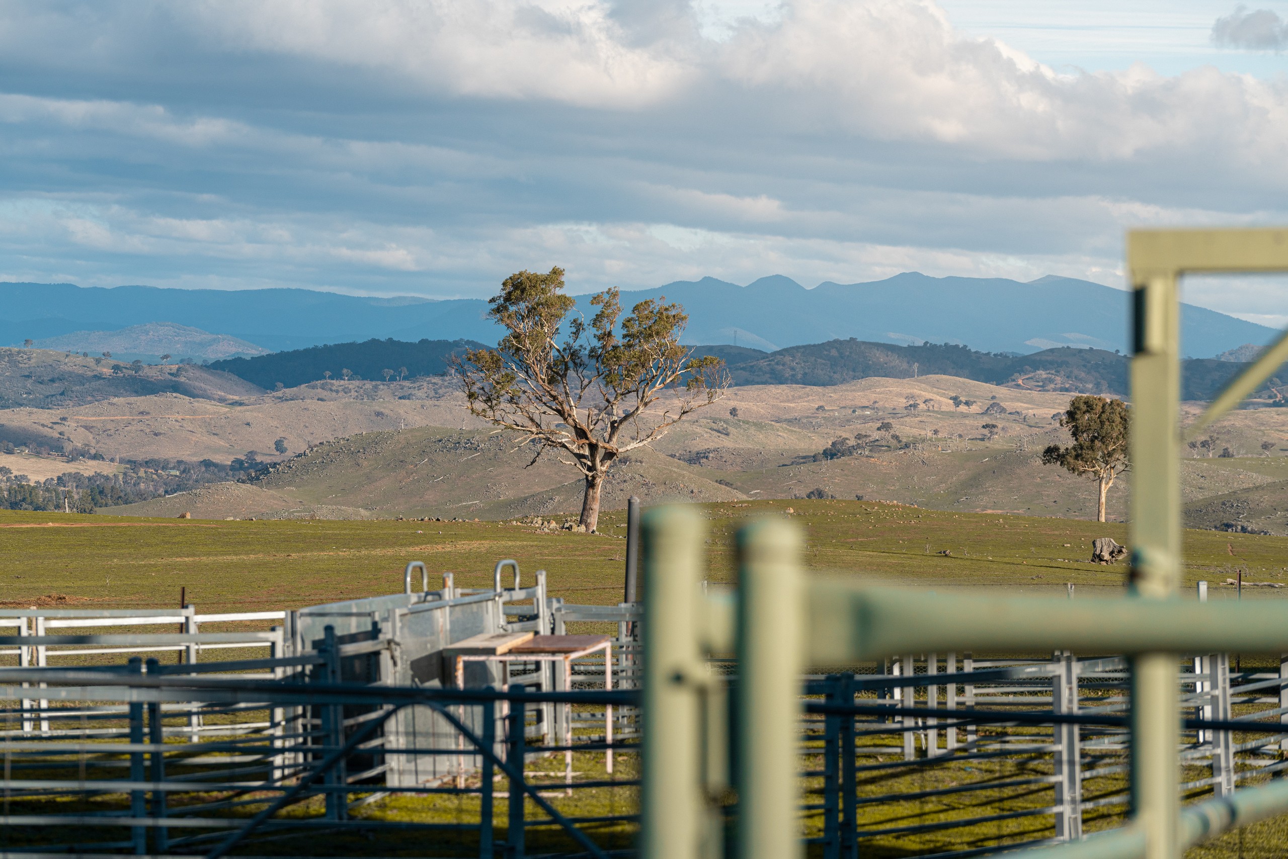 2963 Dog Trap Road, Jeir, NSW 2582