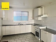 160 Canley Vale Road, Canley Heights, NSW 2166