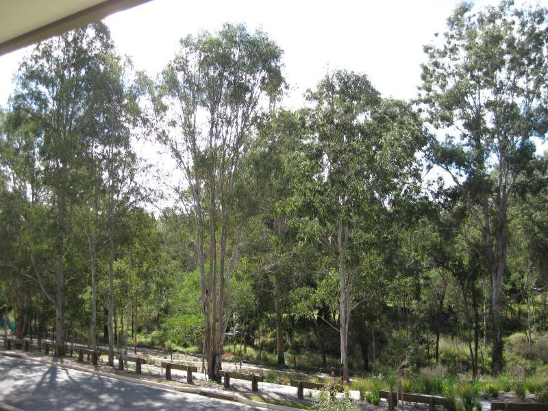 5 Heuer Close, Goodna, QLD 4300