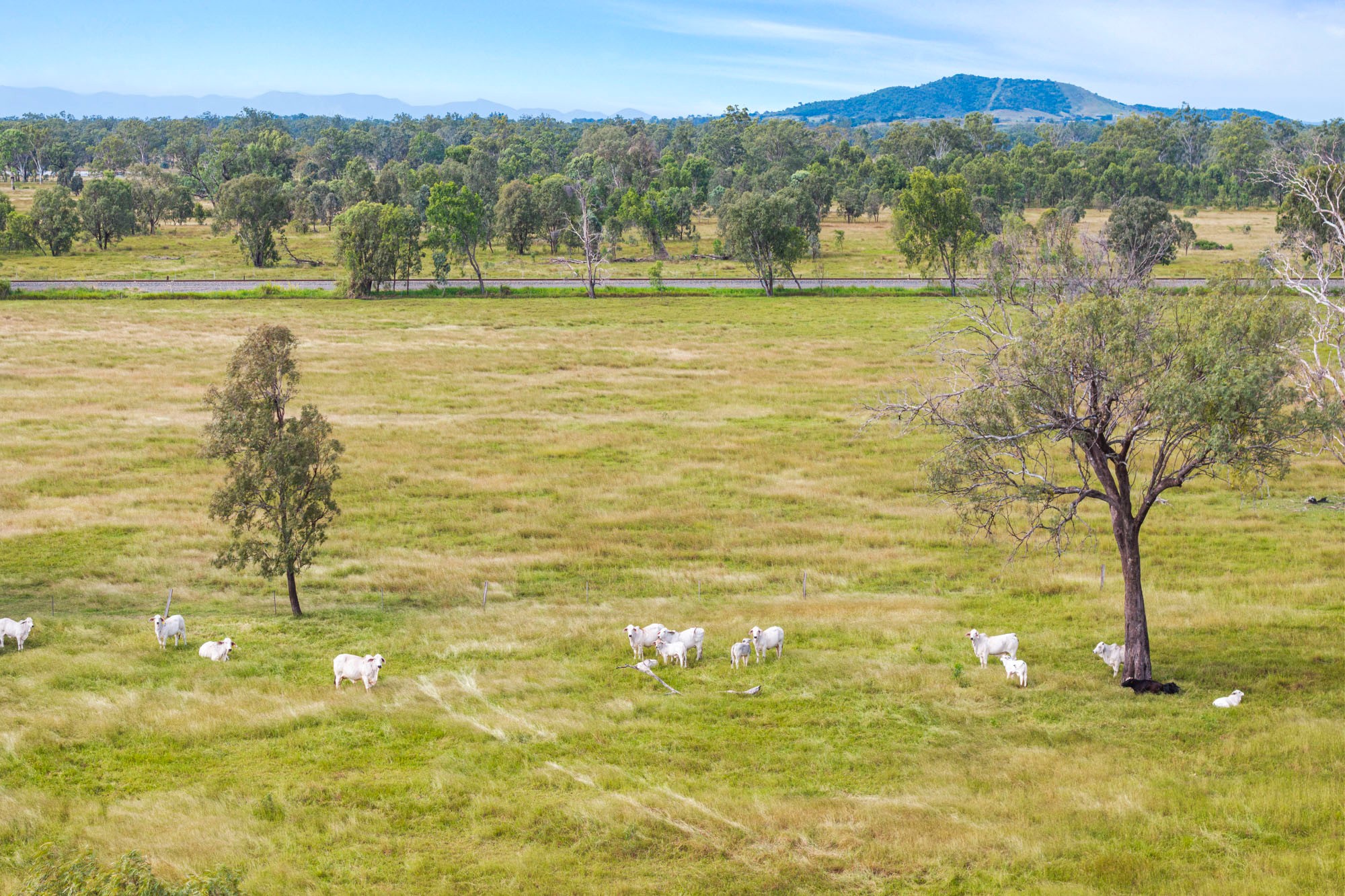 64930 Bruce Highway, Yaamba, QLD 4704