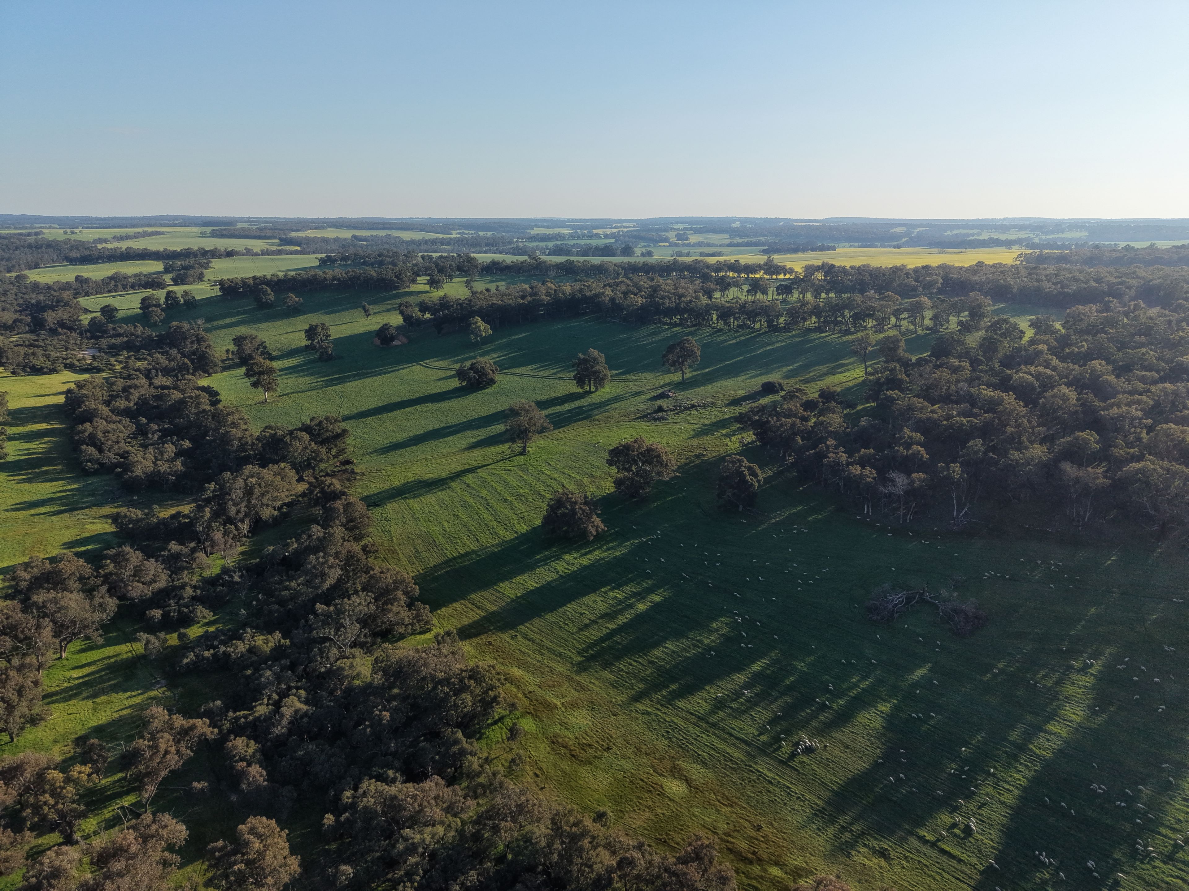 PL 802 Scotts Brook Road — photo 15 of 19
