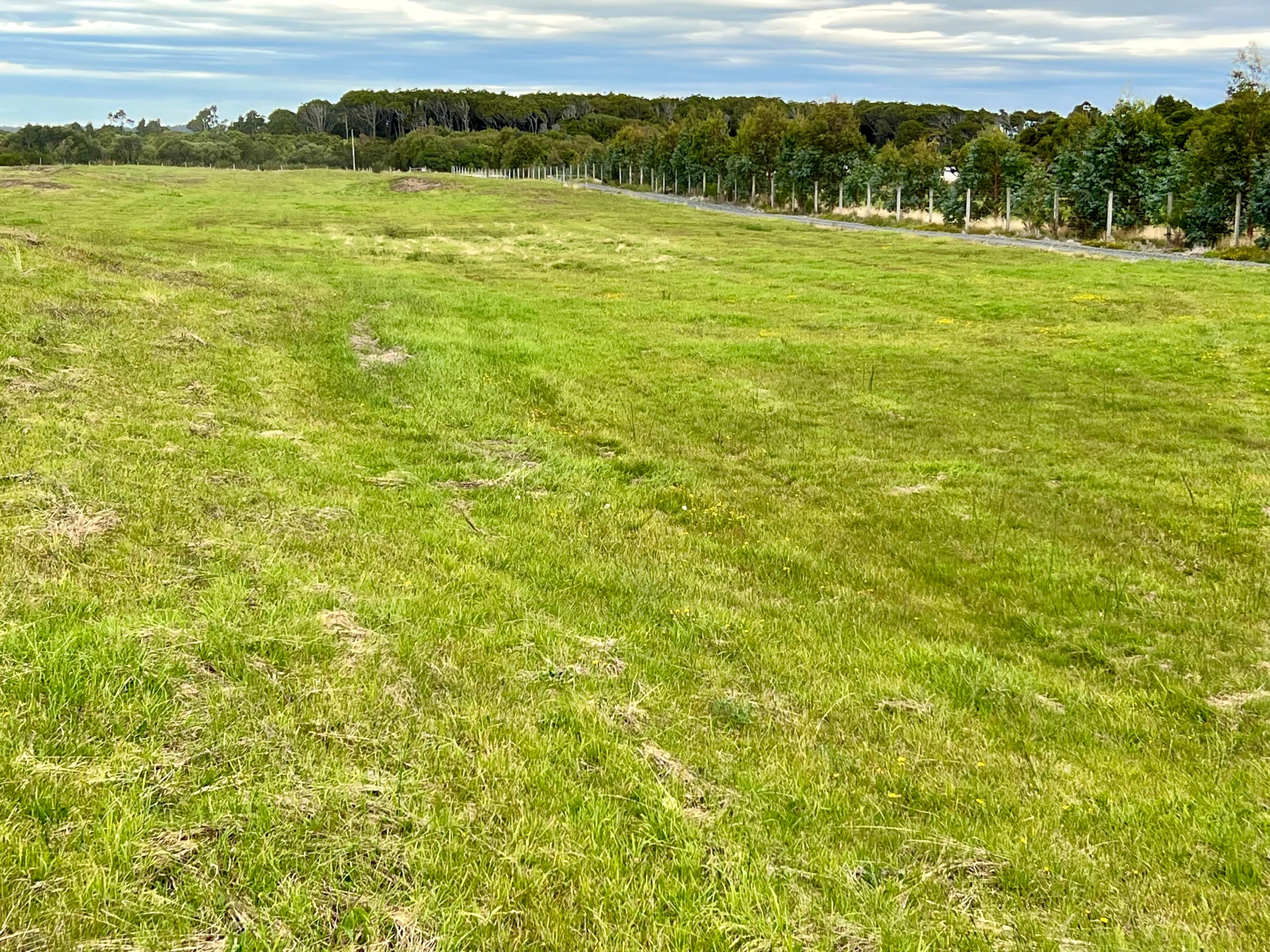 28 Flaxmill Way, Otatara, Invercargill