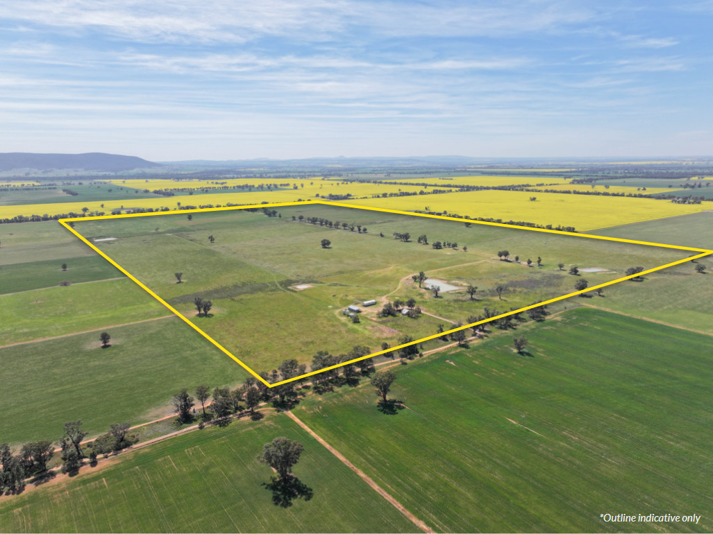 100 Tauntons Road, Kikiamah, NSW 2594