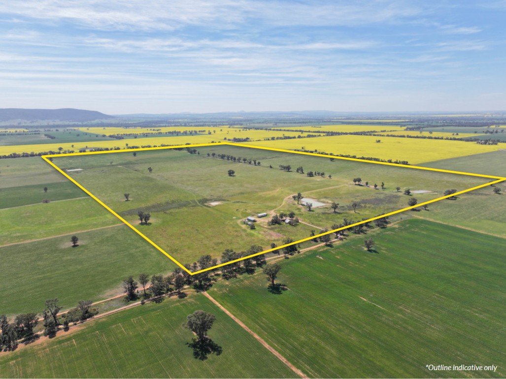 100 Tauntons Road, Kikiamah, NSW 2594