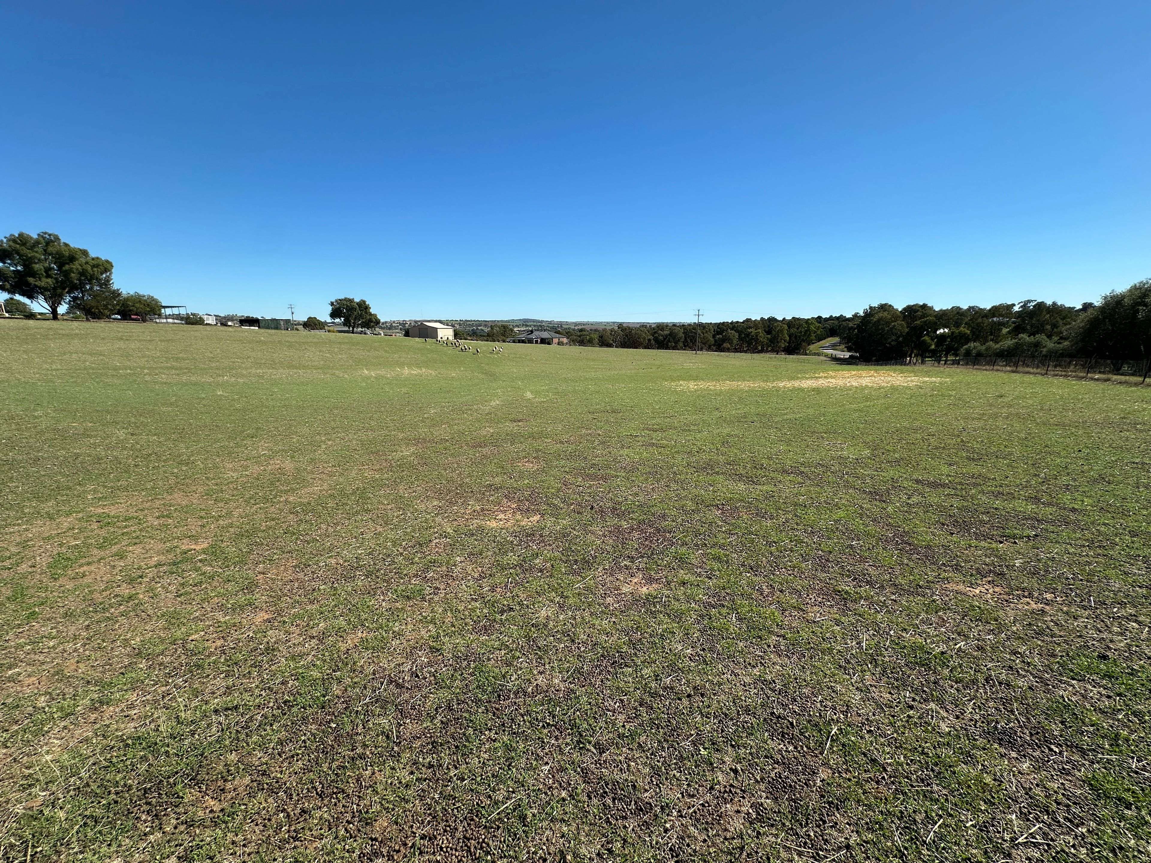 236 East Street, Harden, NSW 2587