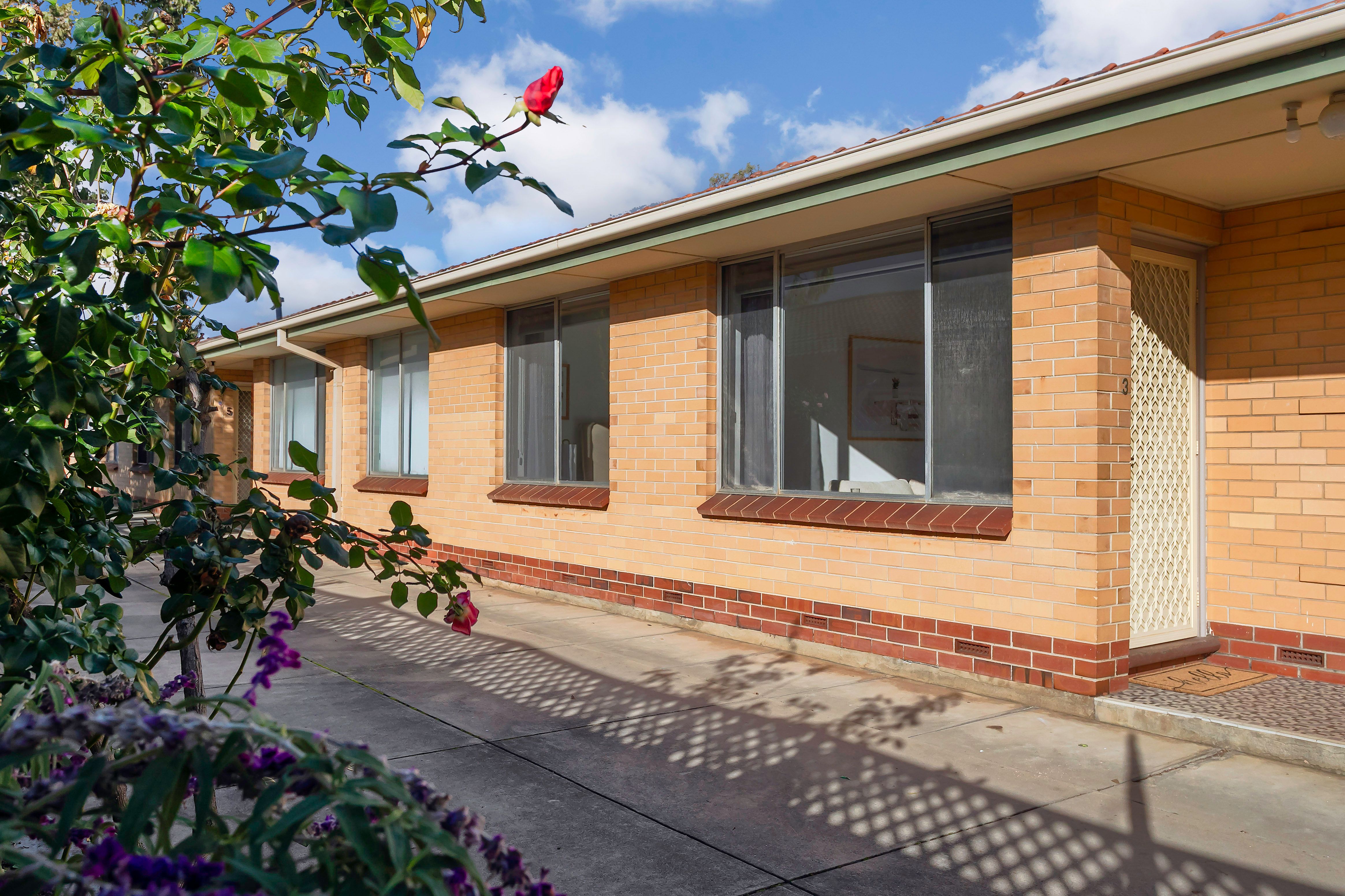 6 Adelaide Terrace, Edwardstown SA 5039