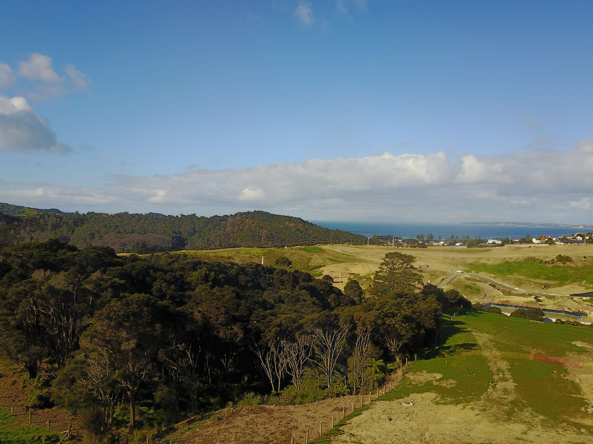 Orewa  Rodney  0931 photo 8