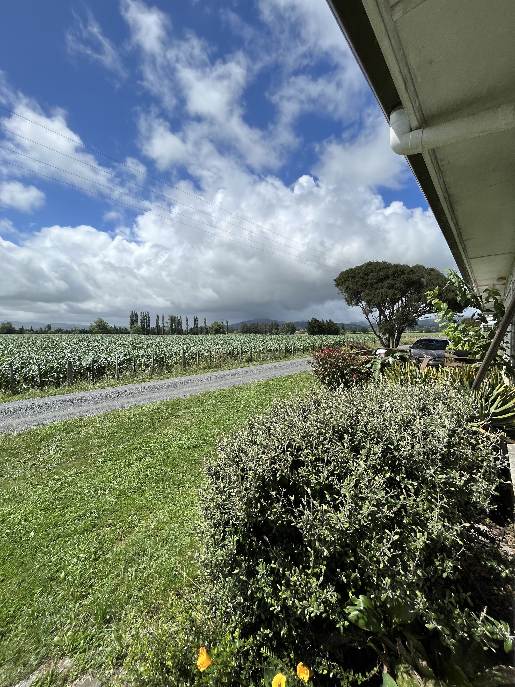 A/80 Luxton Road, Awakeri, Whakatane District