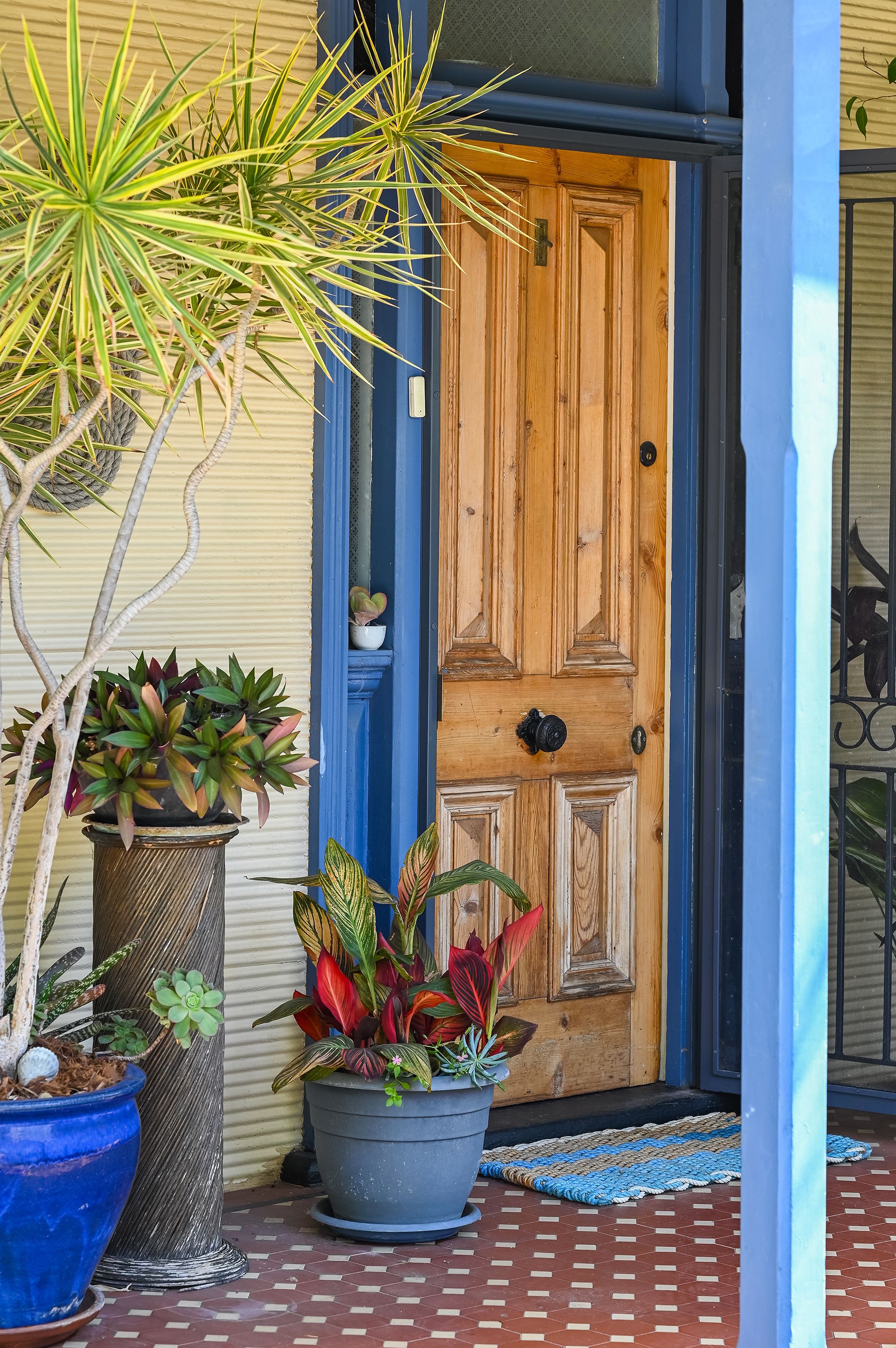 58 Harvey Street — photo 3 of 29